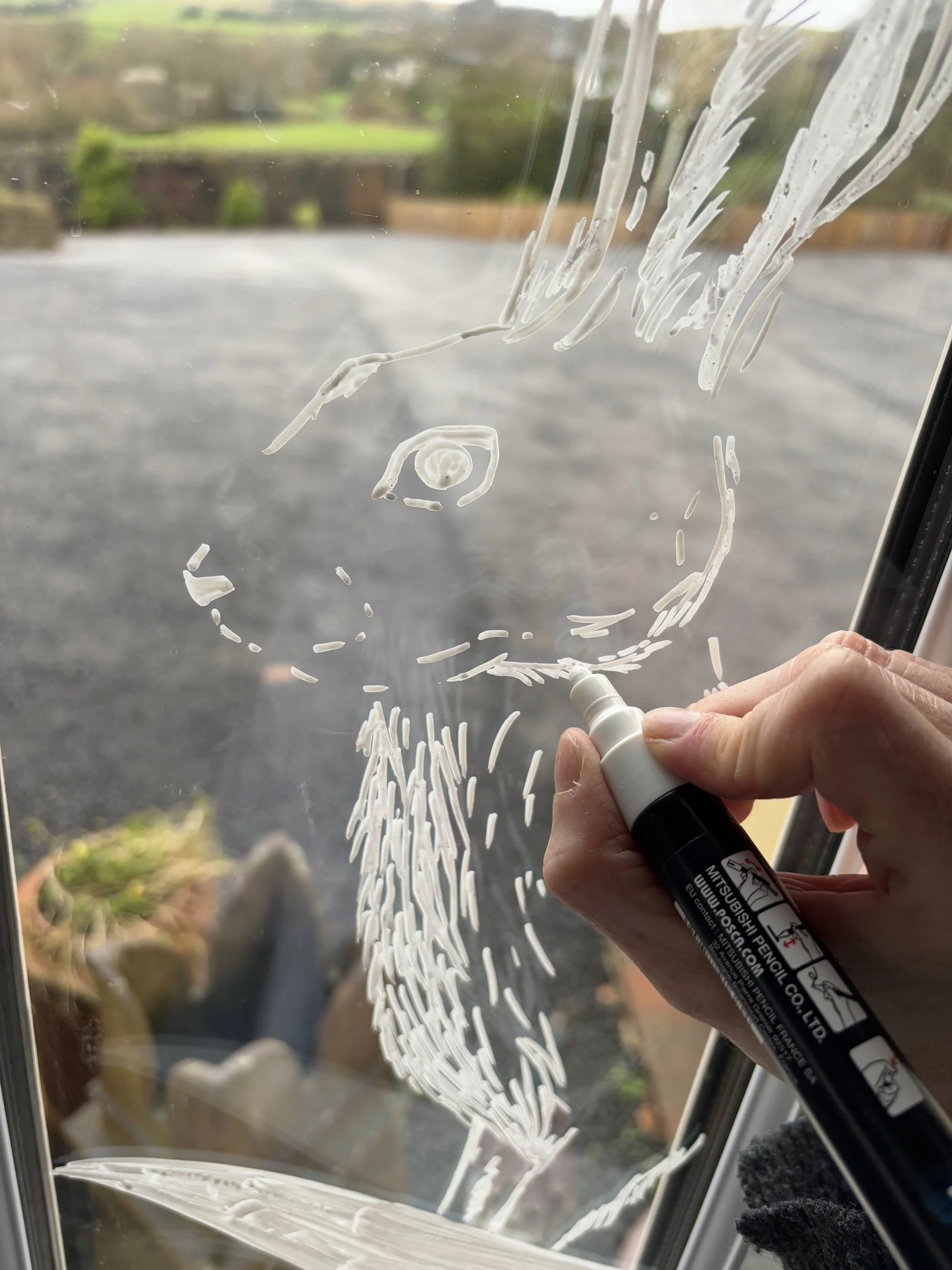 Hand painted window display, hand painting a white snowy hare.