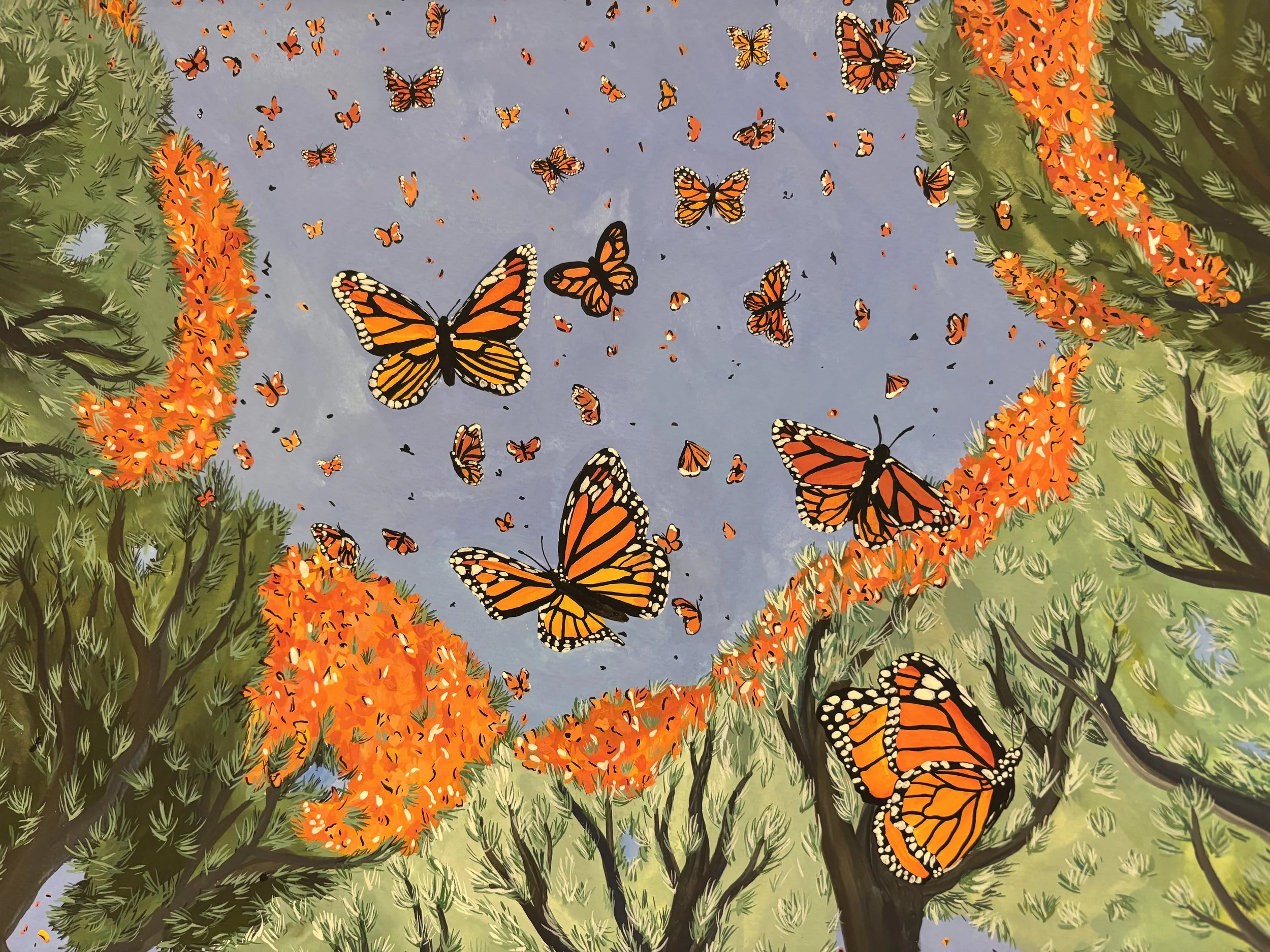 Monarch butterlies migration illustration. Thousands of monarch butterflies land on the trees in Mexico after migrating from Canada. Nature book illustrator. Nature  inspired artist and illustrator. Childrens book illustration. Art inspired by nature