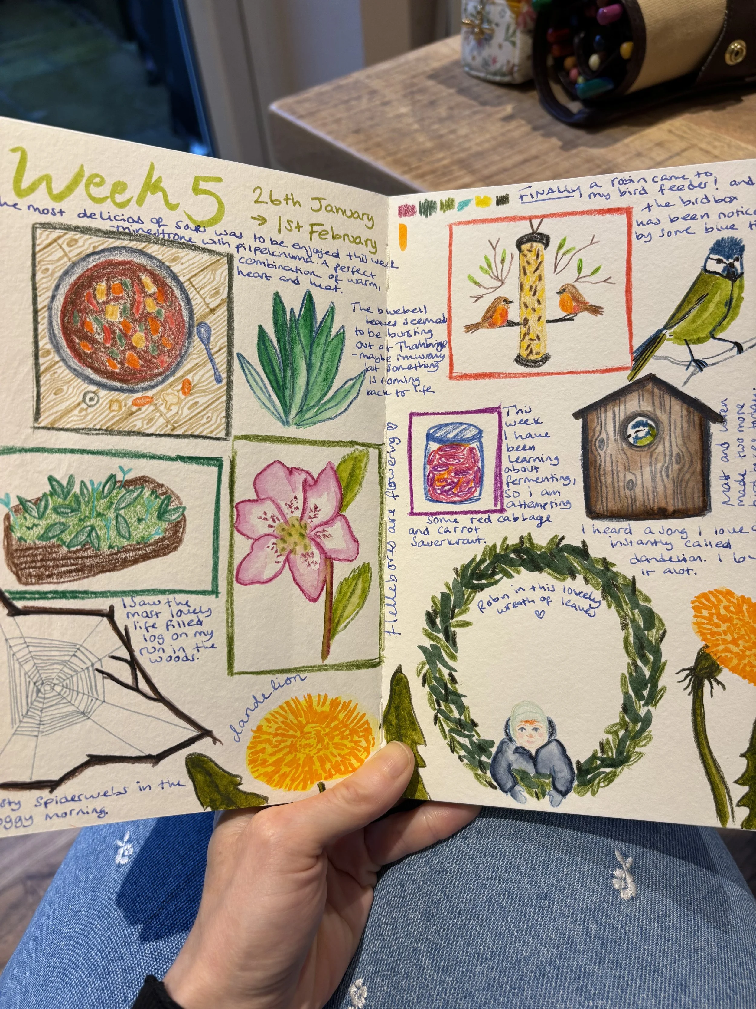 A sketchbook showing hand sketched images in different art mediums placed on a ladies knee.