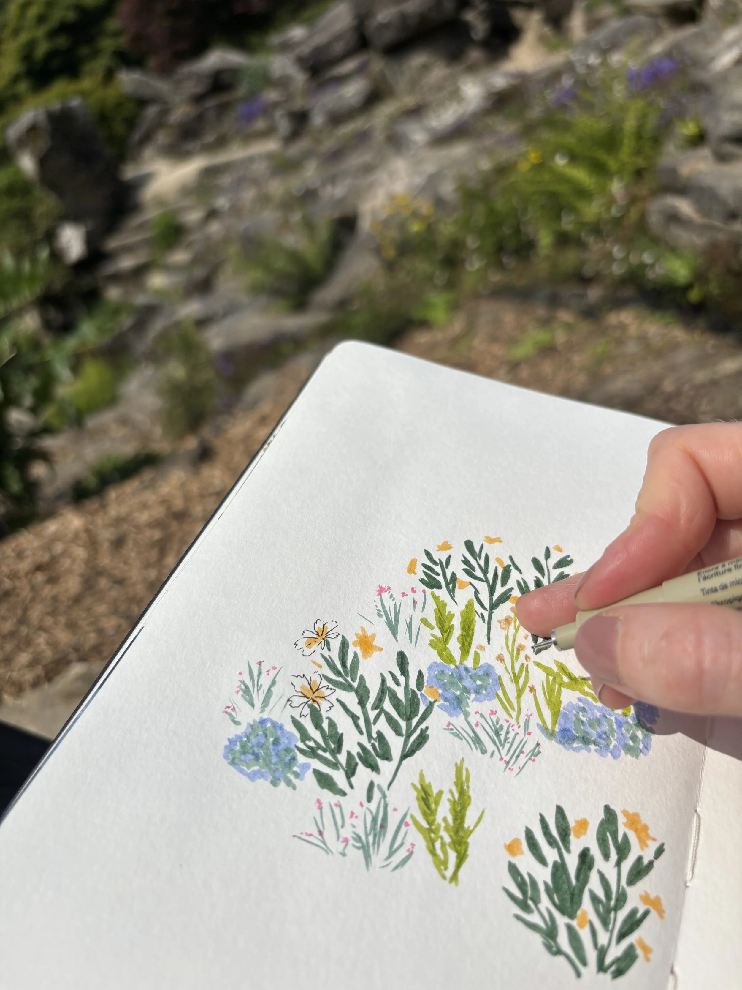 Sketching flowers on a sunny day outside with mixed media pens and pencils.