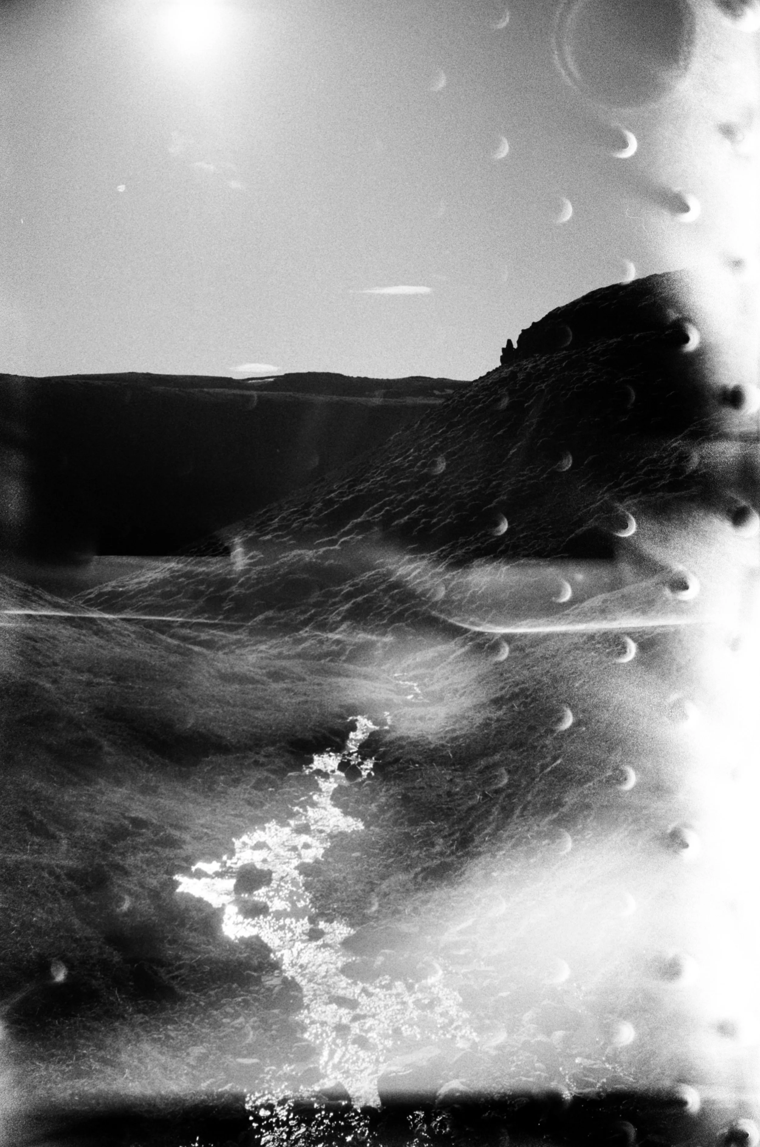 The Dreamscape