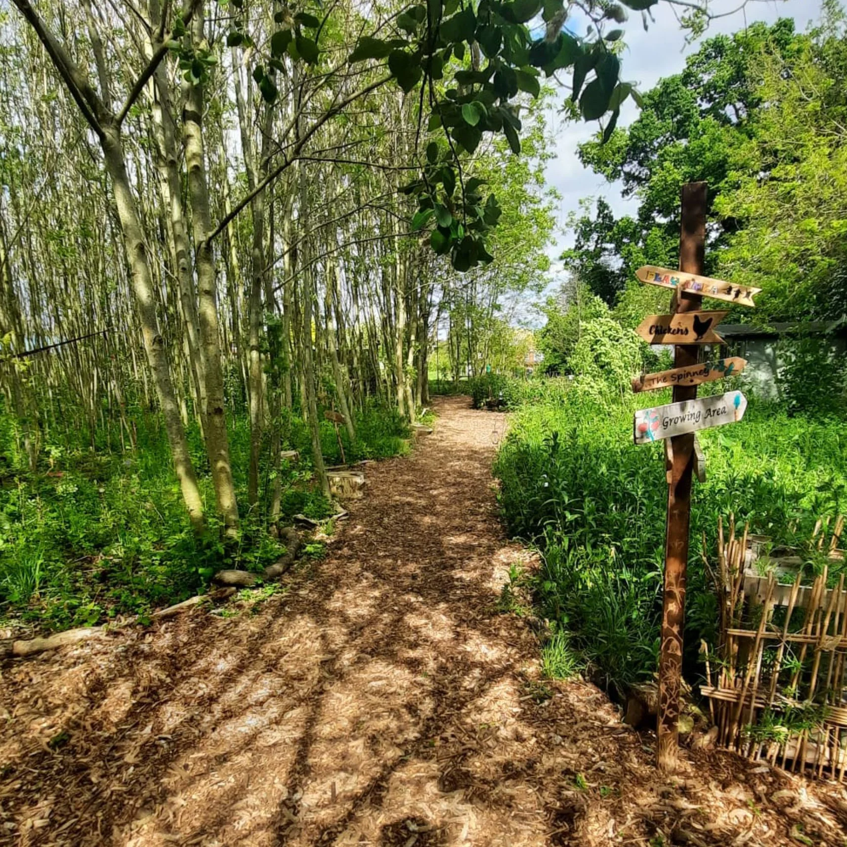 hannah-fields-pathway.jpg