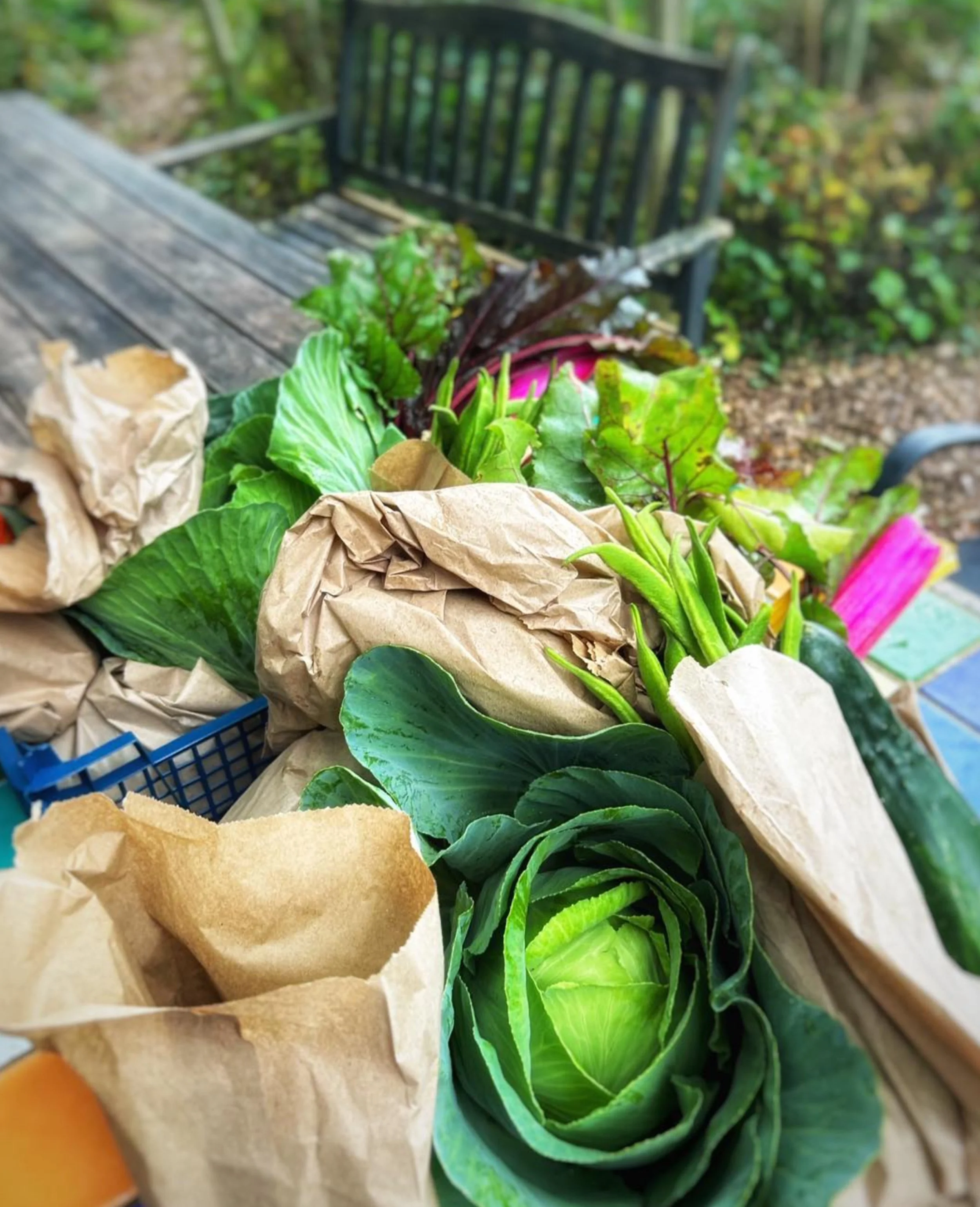 Medium Veg Box