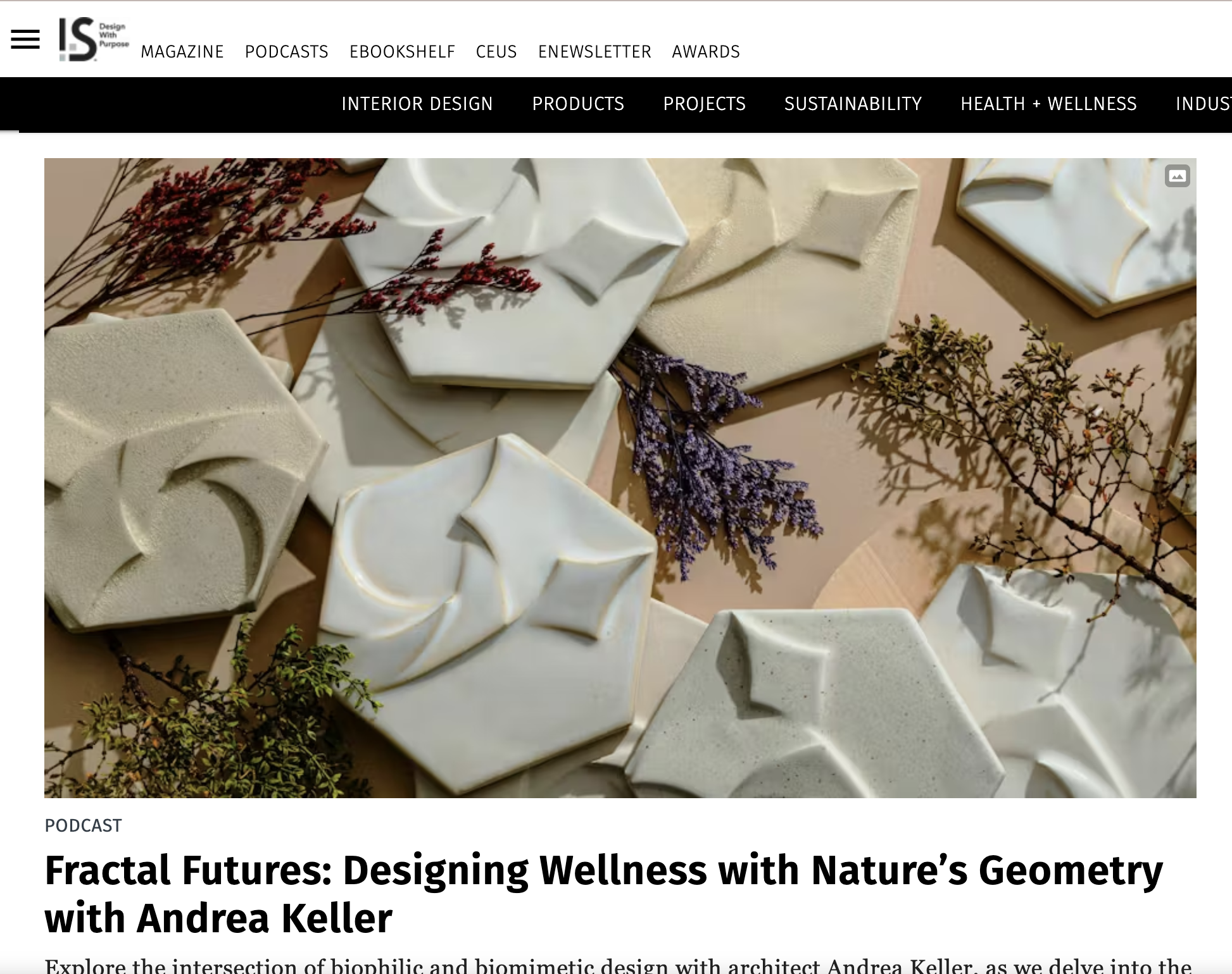 Fractal Futures Star Tile iheardesign Podcast