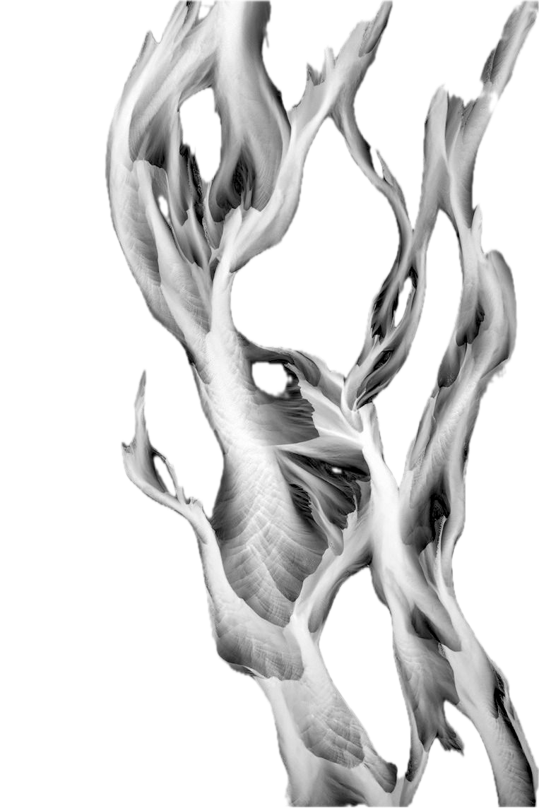 Black and white creek flow patterns, natural geometry inspiring Star Tile