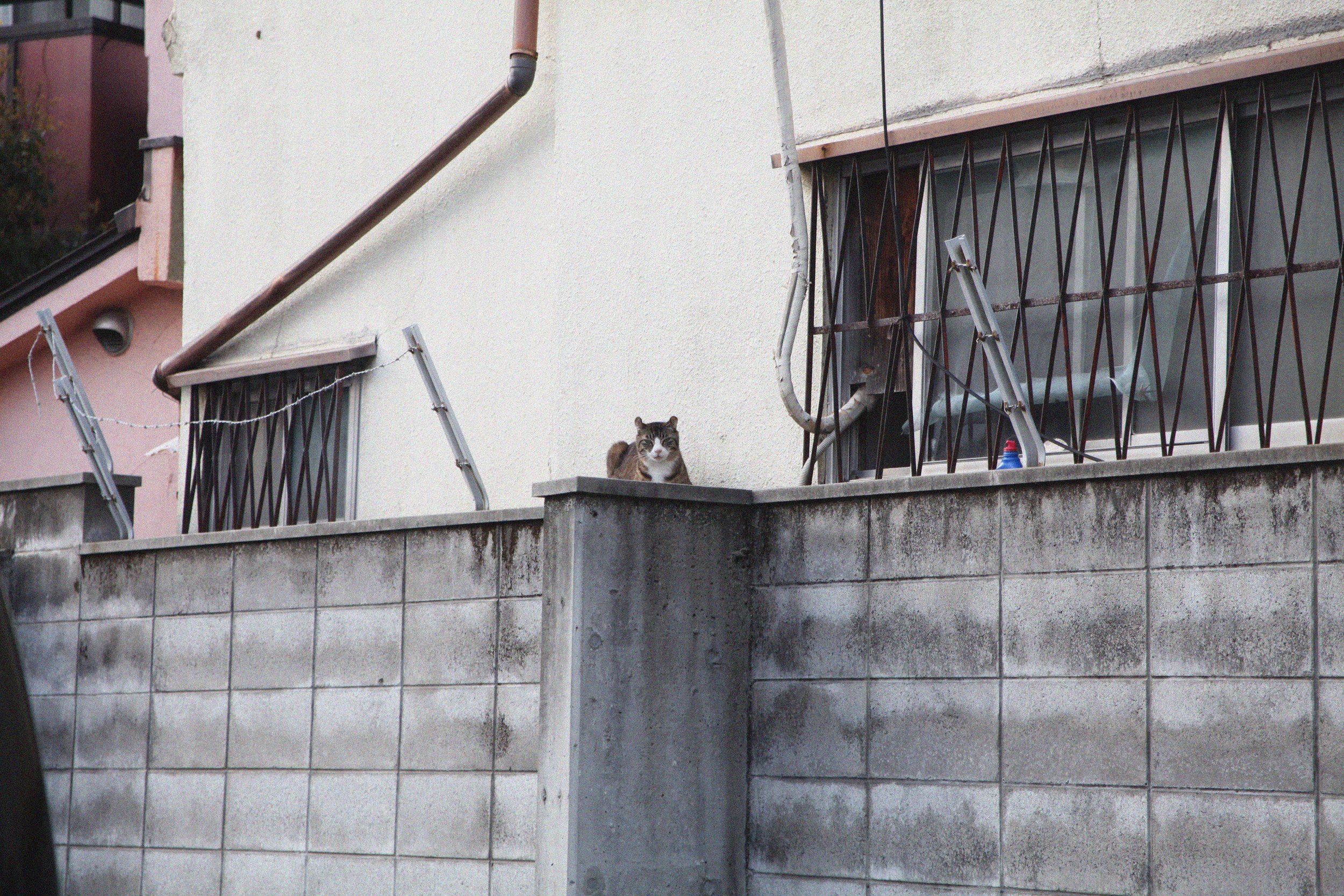 3月