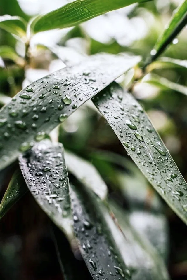 The Next Right Thing