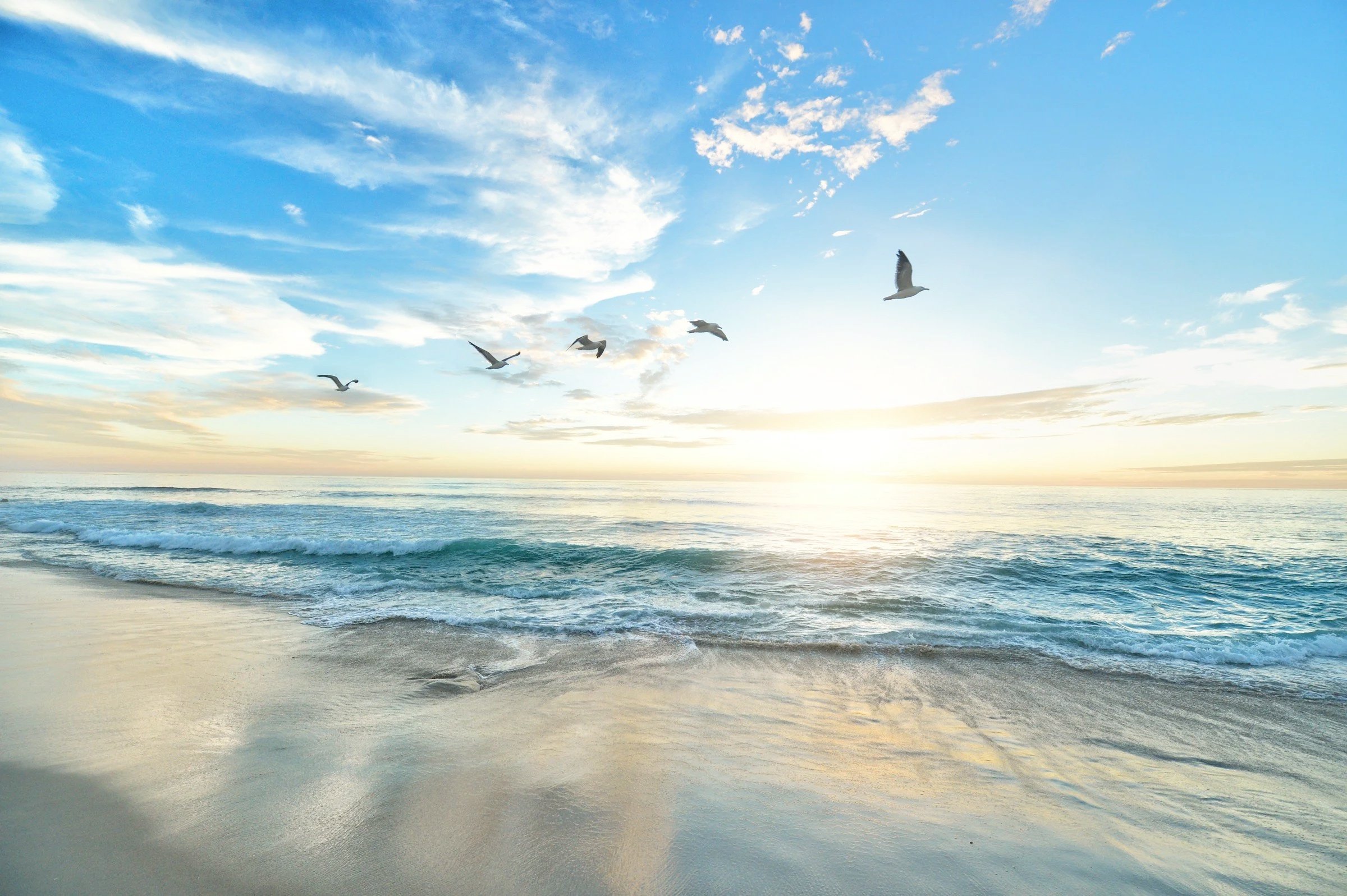 Seagulls flying over the ocean during sunset with waves crashing on the sandy beach and a partly cloudy sky.