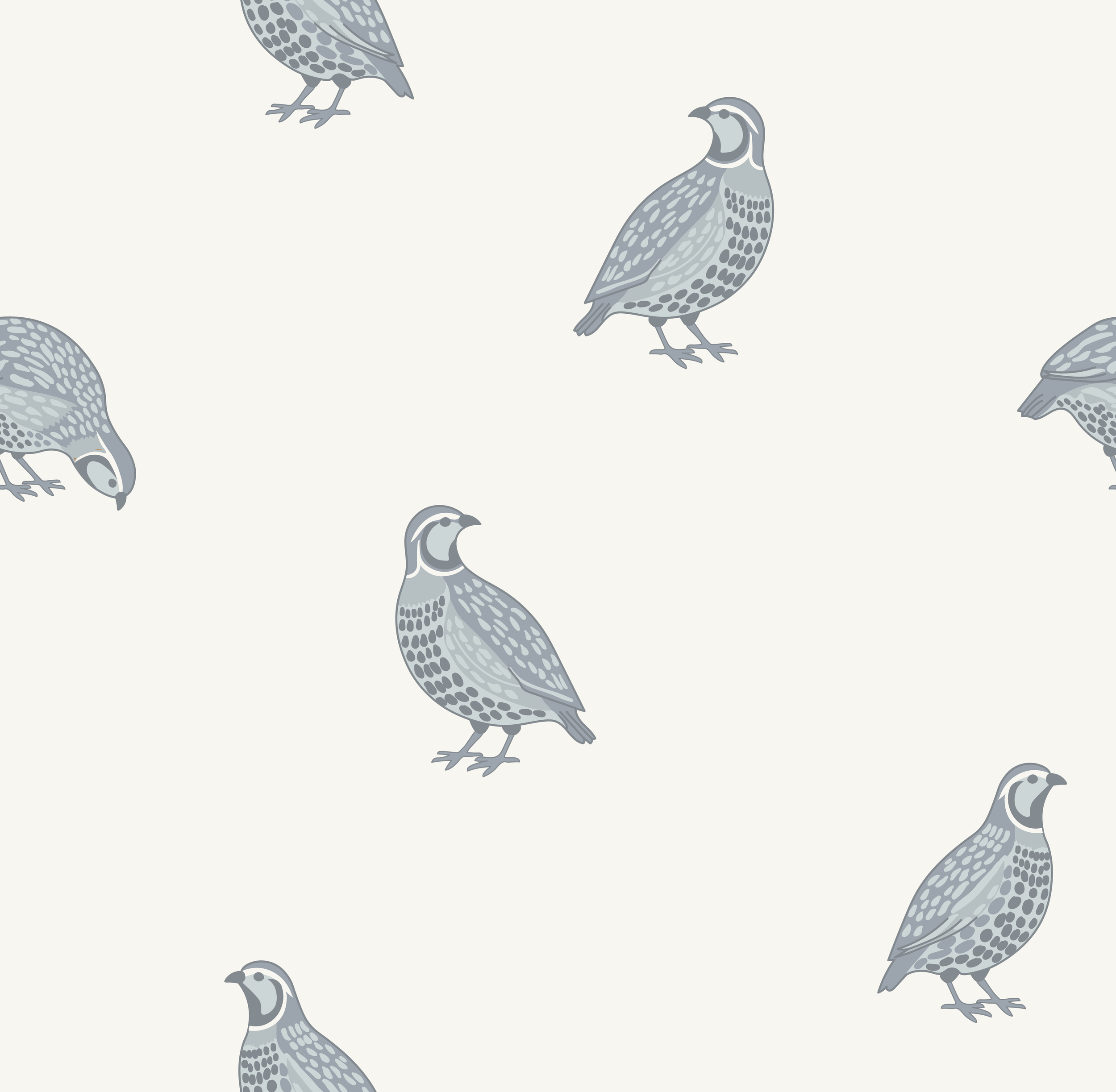 quail_vlue.png
