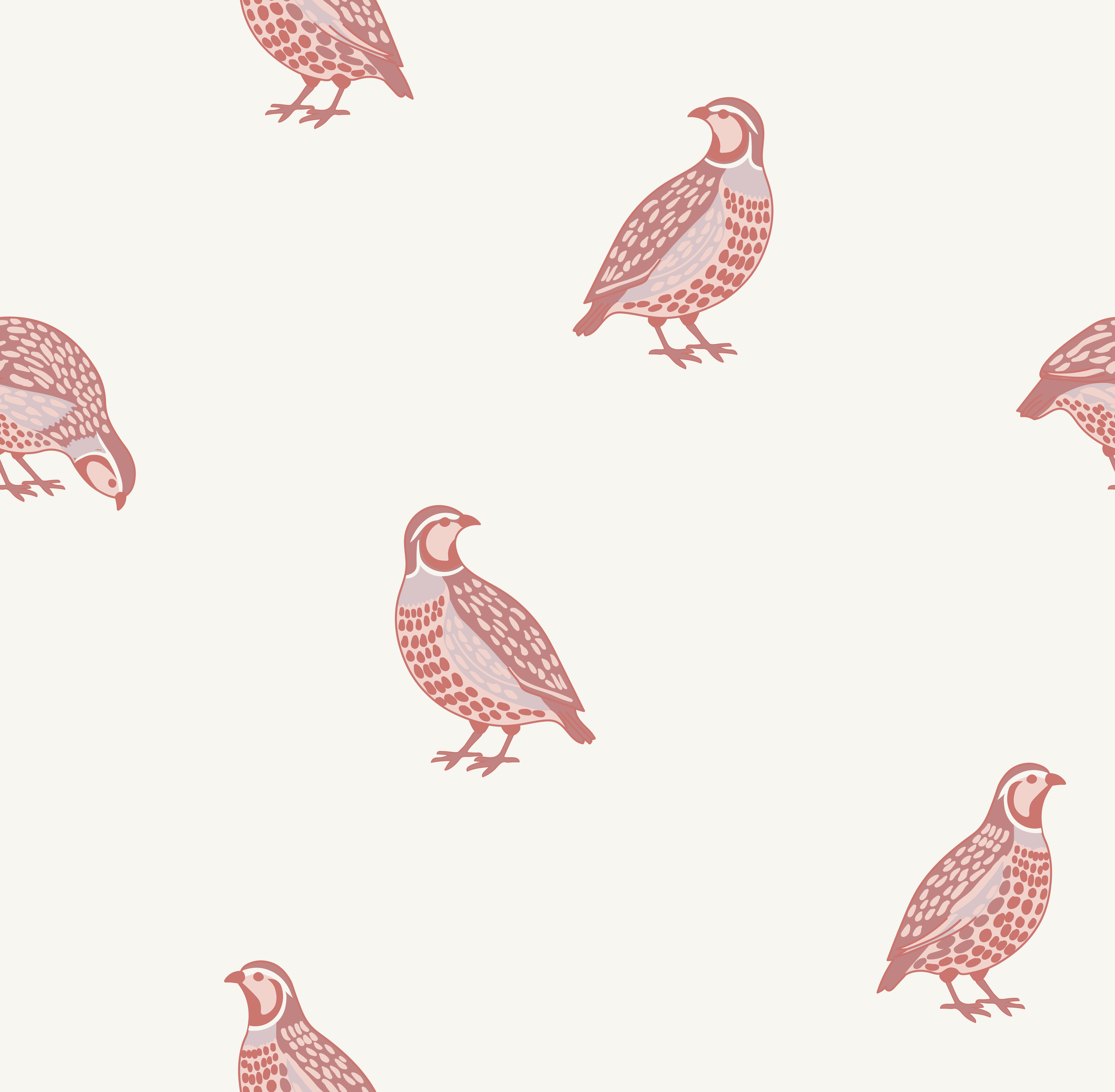 quail_pink.png