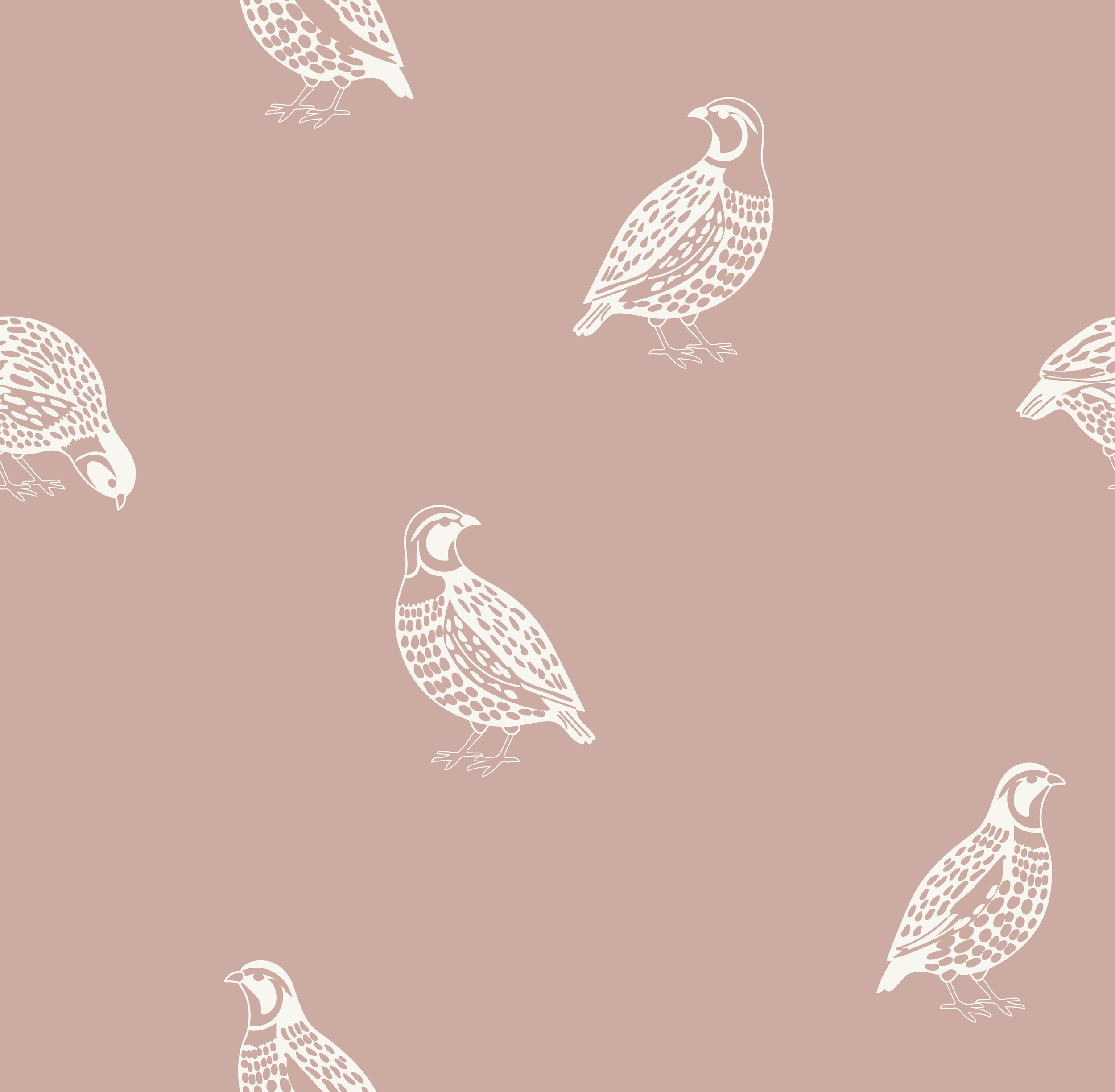 quail_white pink.png