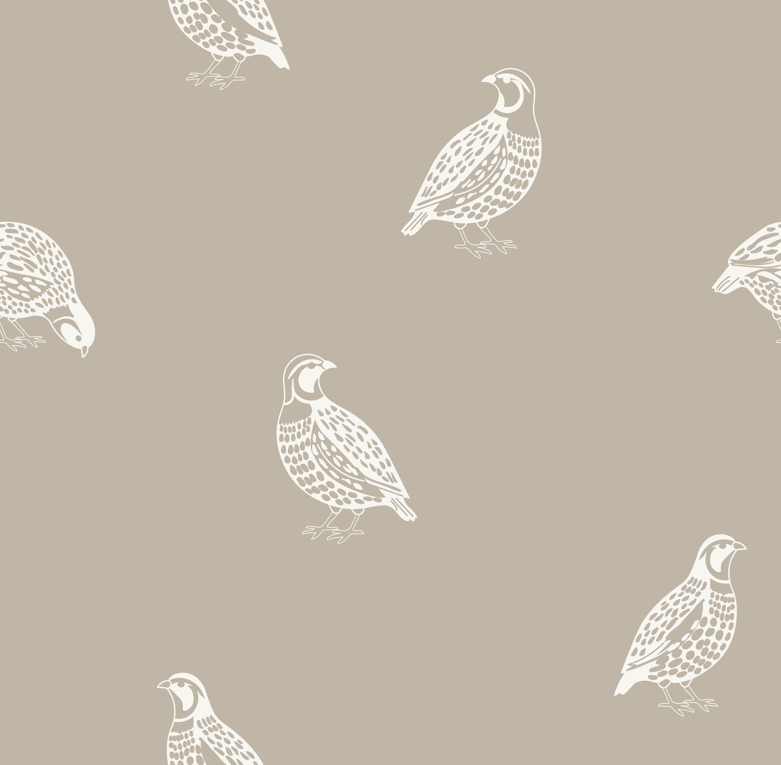 quail_white taupe.png