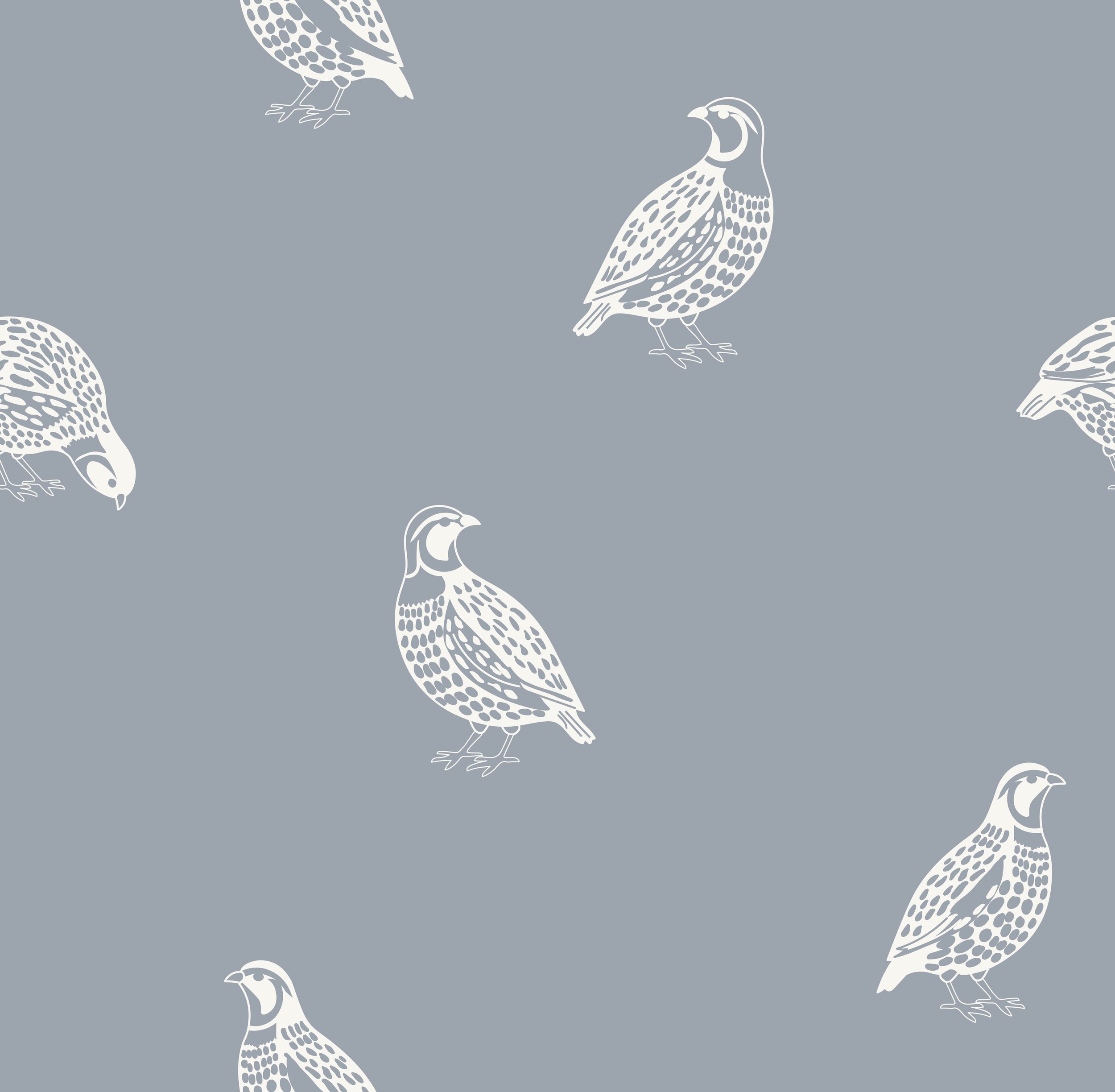 quail_white blue.png