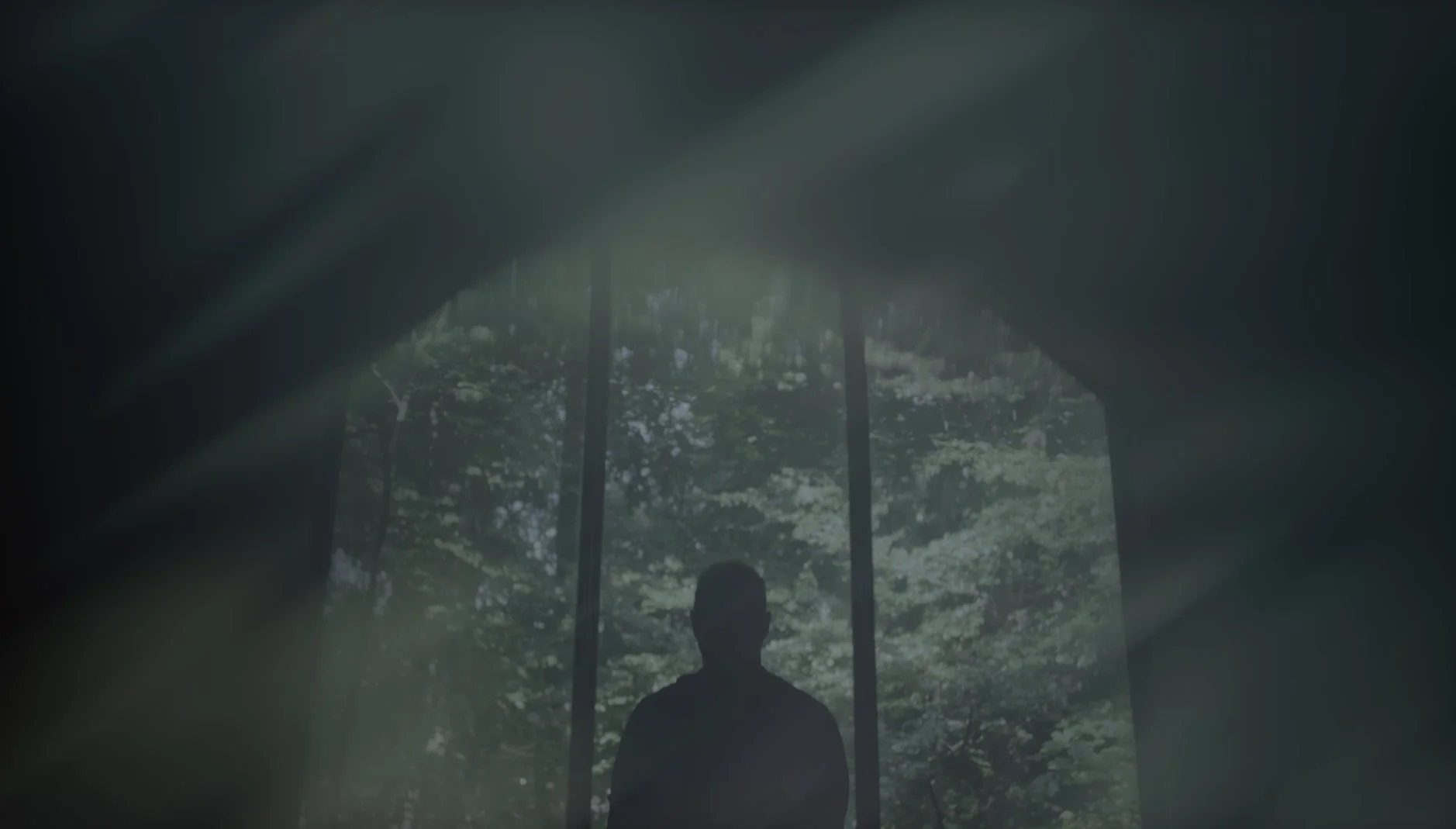 EDIT-JEFNEVE-02.00_00_52_04.Still008 2.jpg