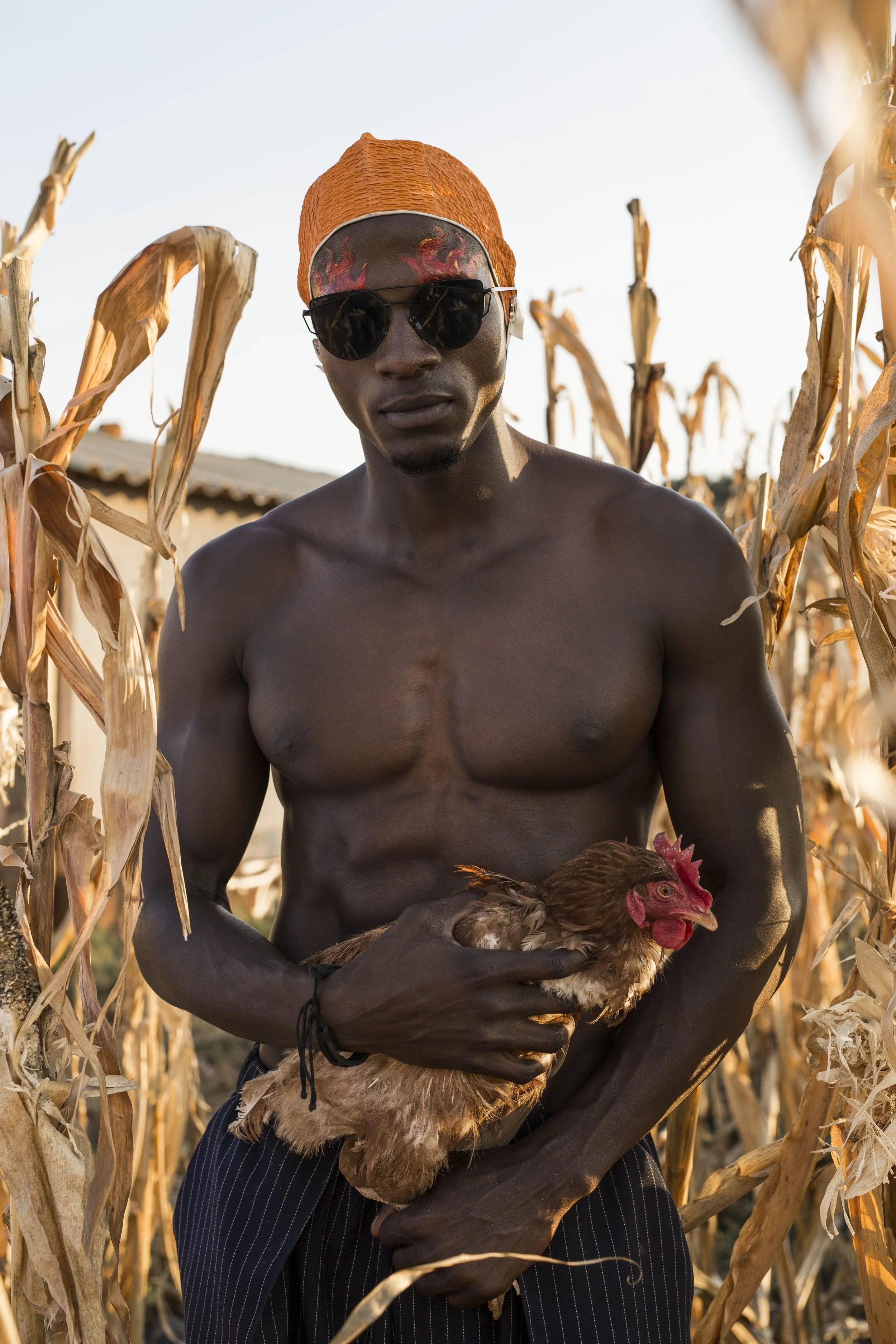 Chicken Run