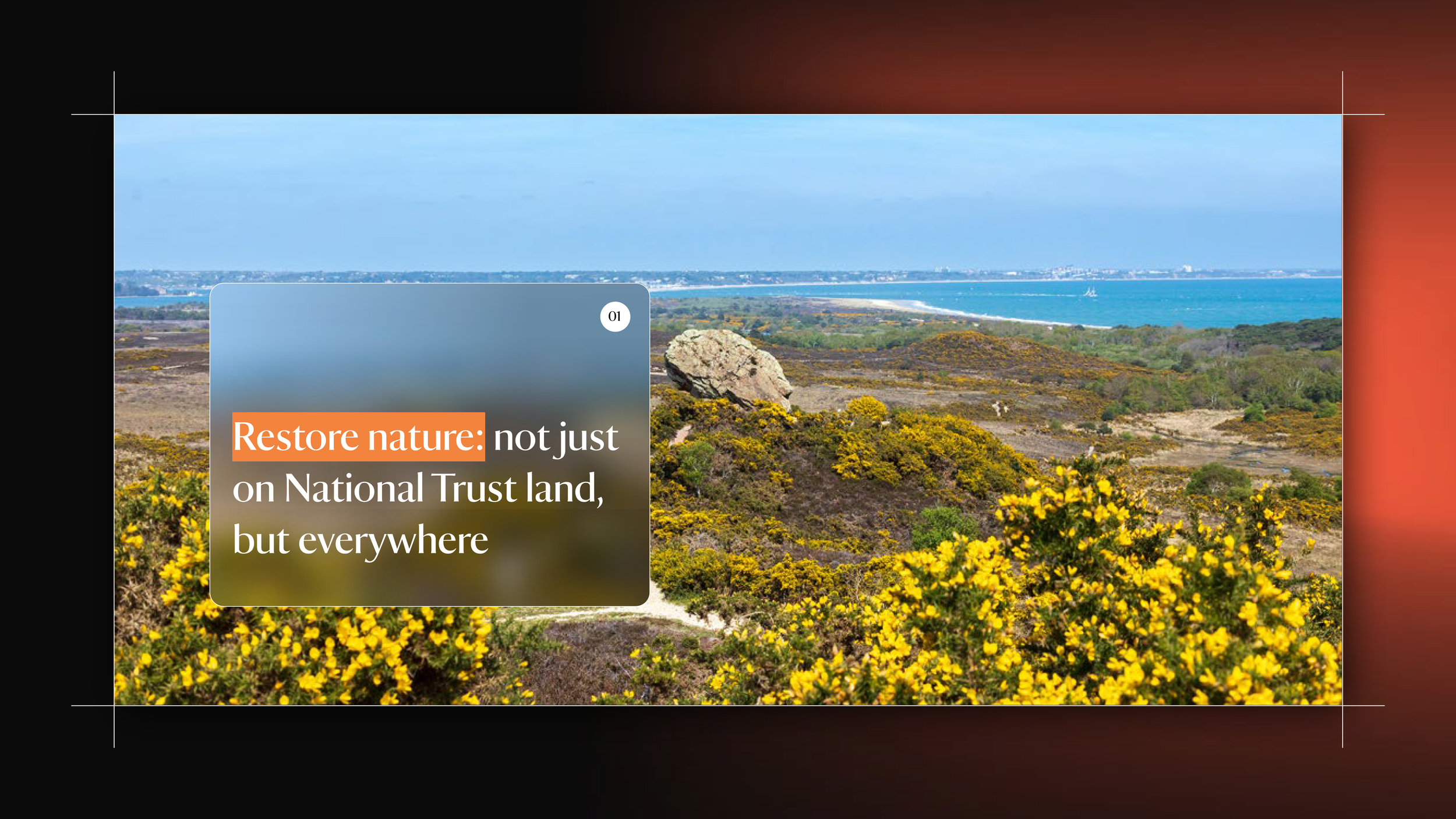Bringing into Focus — The National Trust