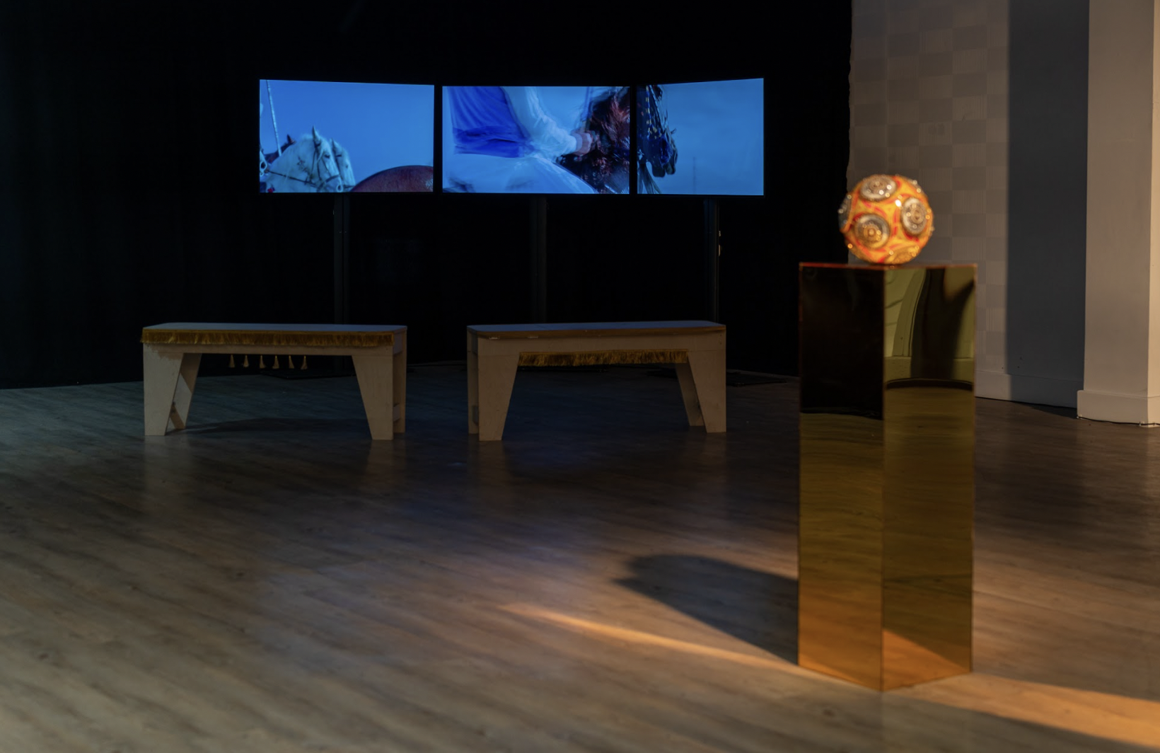 Middlesborough Arts Week 22 Carats Alina Akhbar