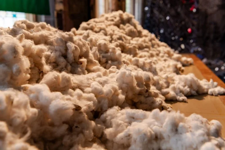 British Textile Biennale 2023