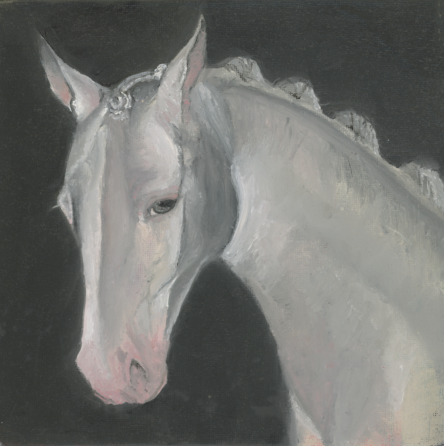White Horse Print