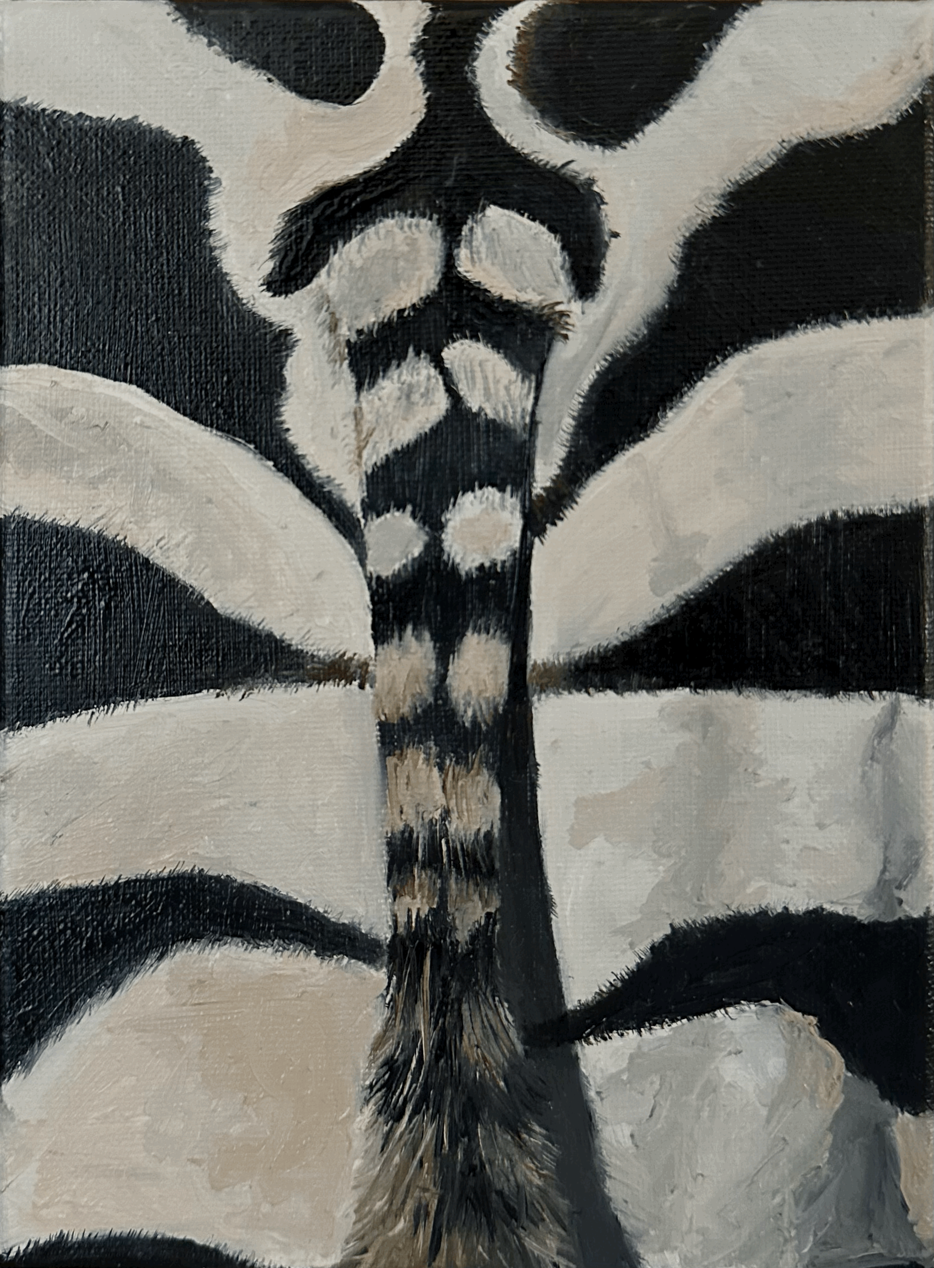 Zebra Print