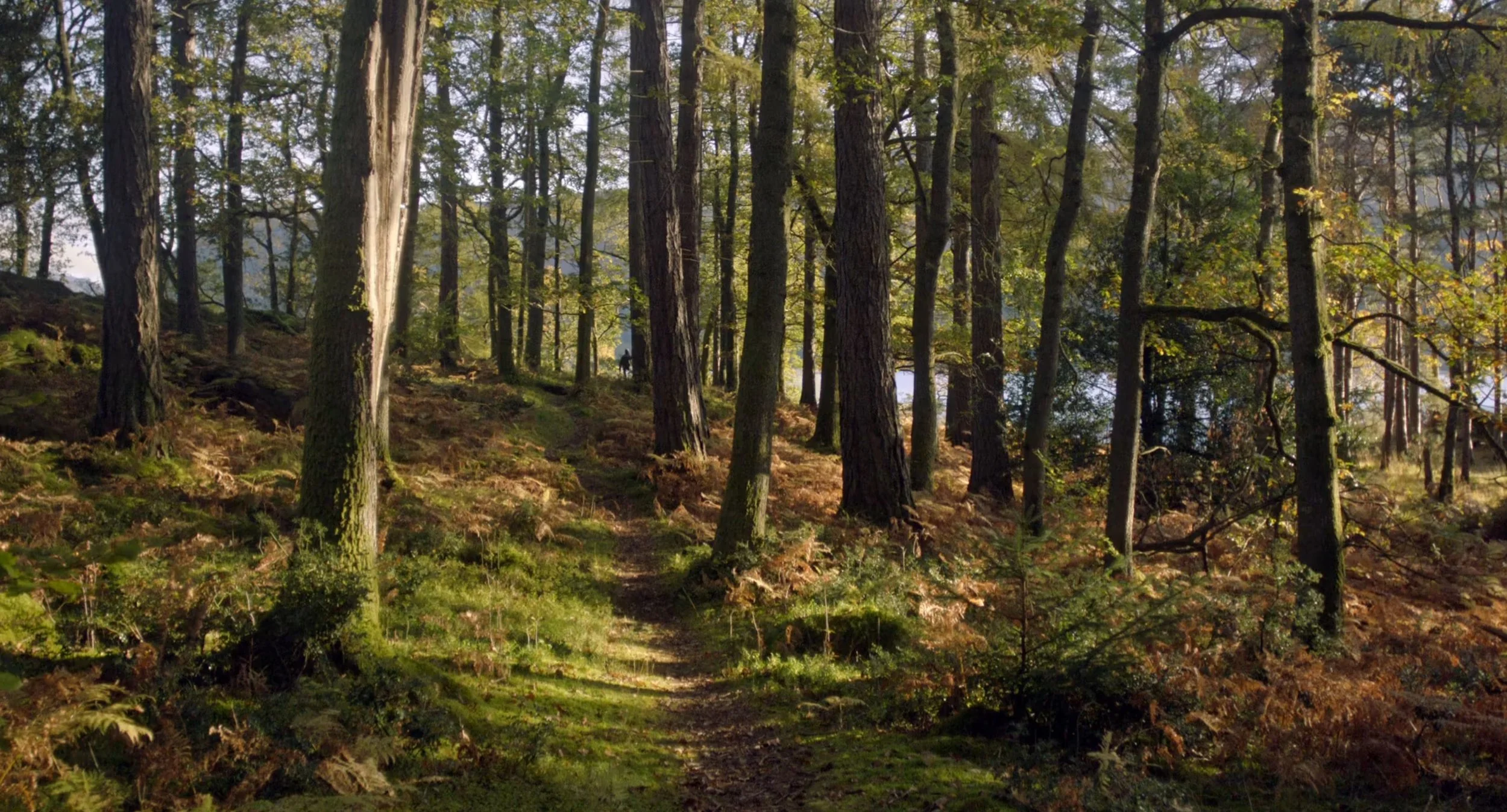 National Trust: 125 Years