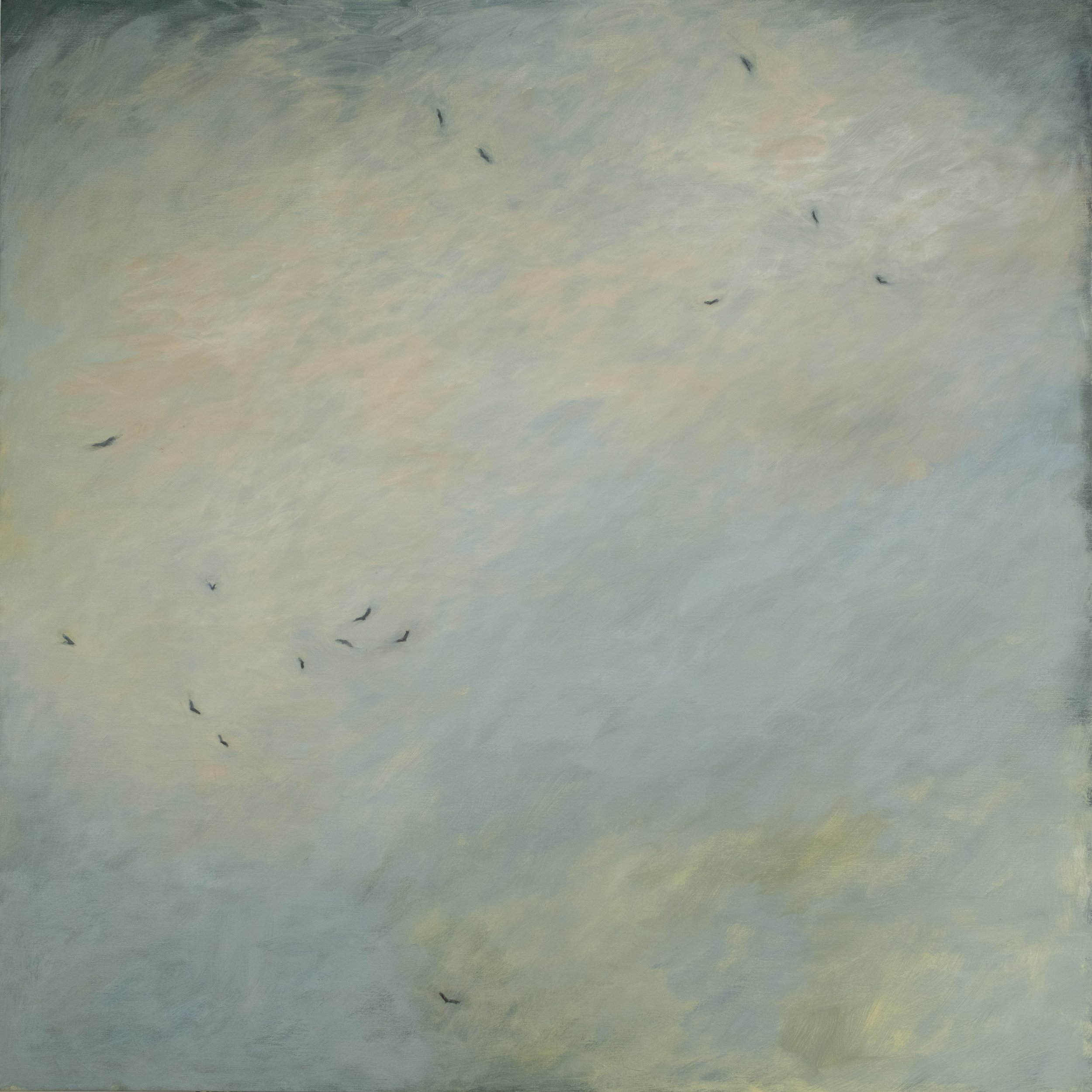 BIRDS °2024 Acryl on canvas 100 x 100cm