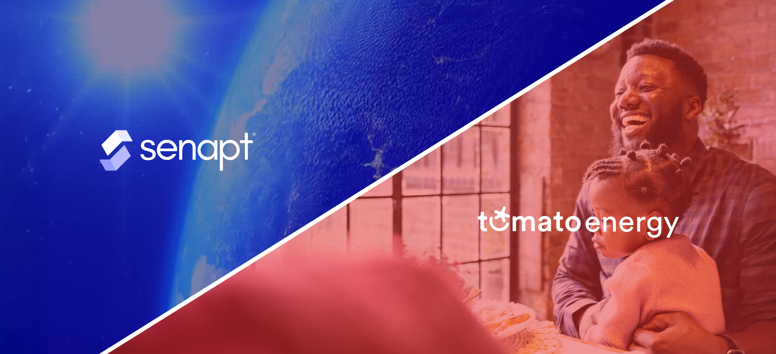 Senapt & Tomato energy