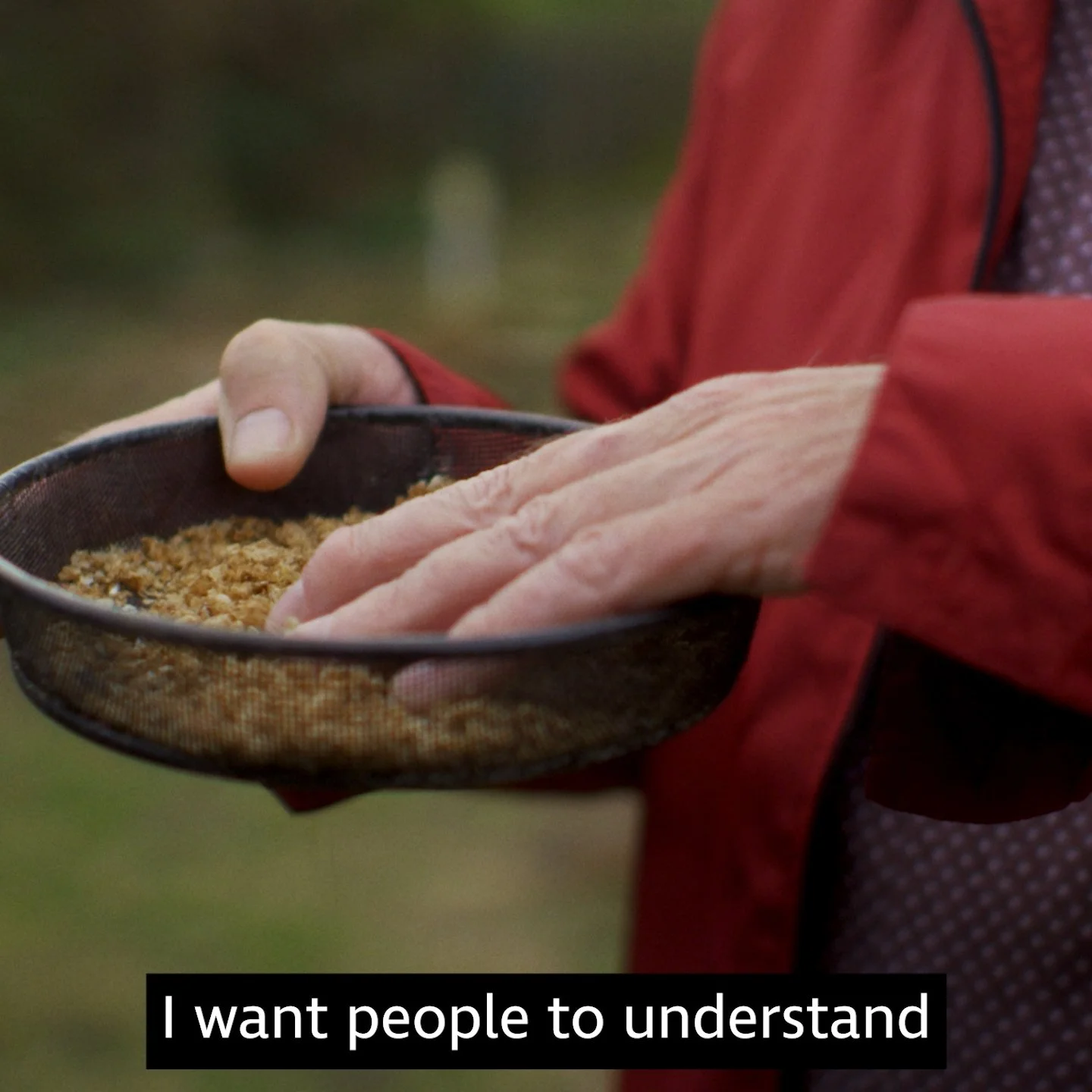 Pete in his garden adding bird feed to the tray, RNIB