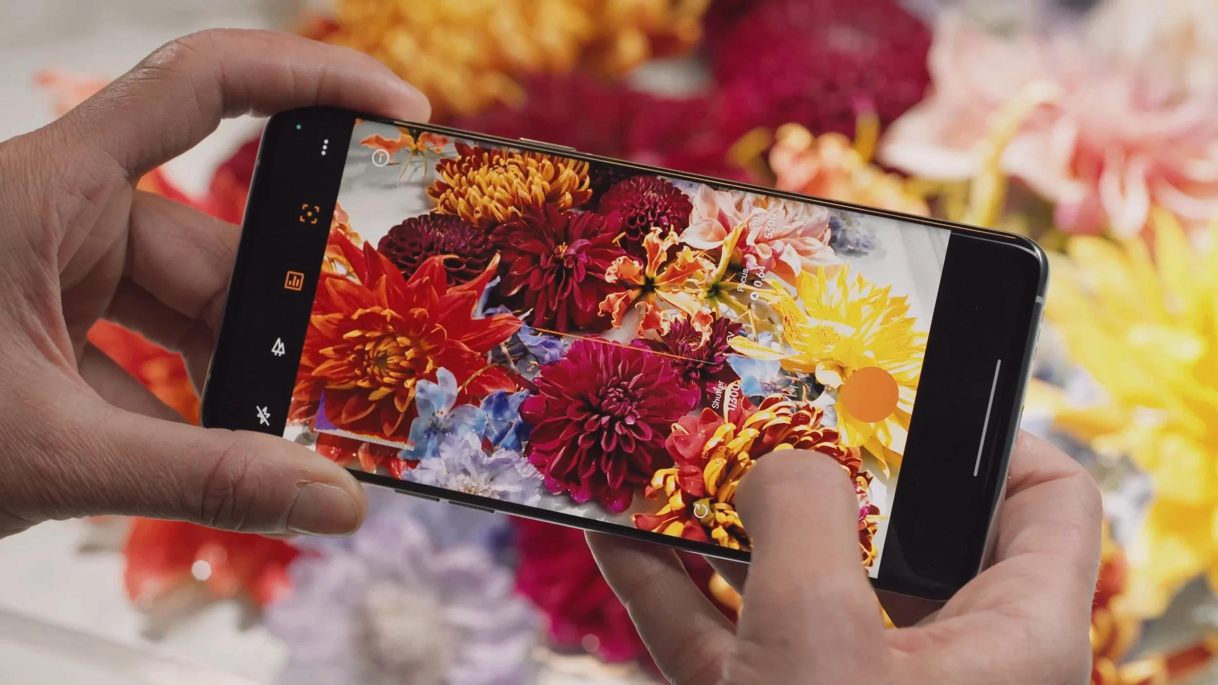 Billion Colours - Oppo x Hasselblad