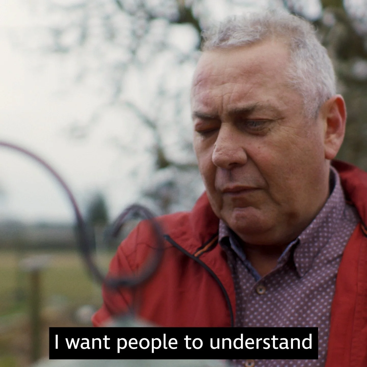 Pete looks at his bird feeder, RNIB