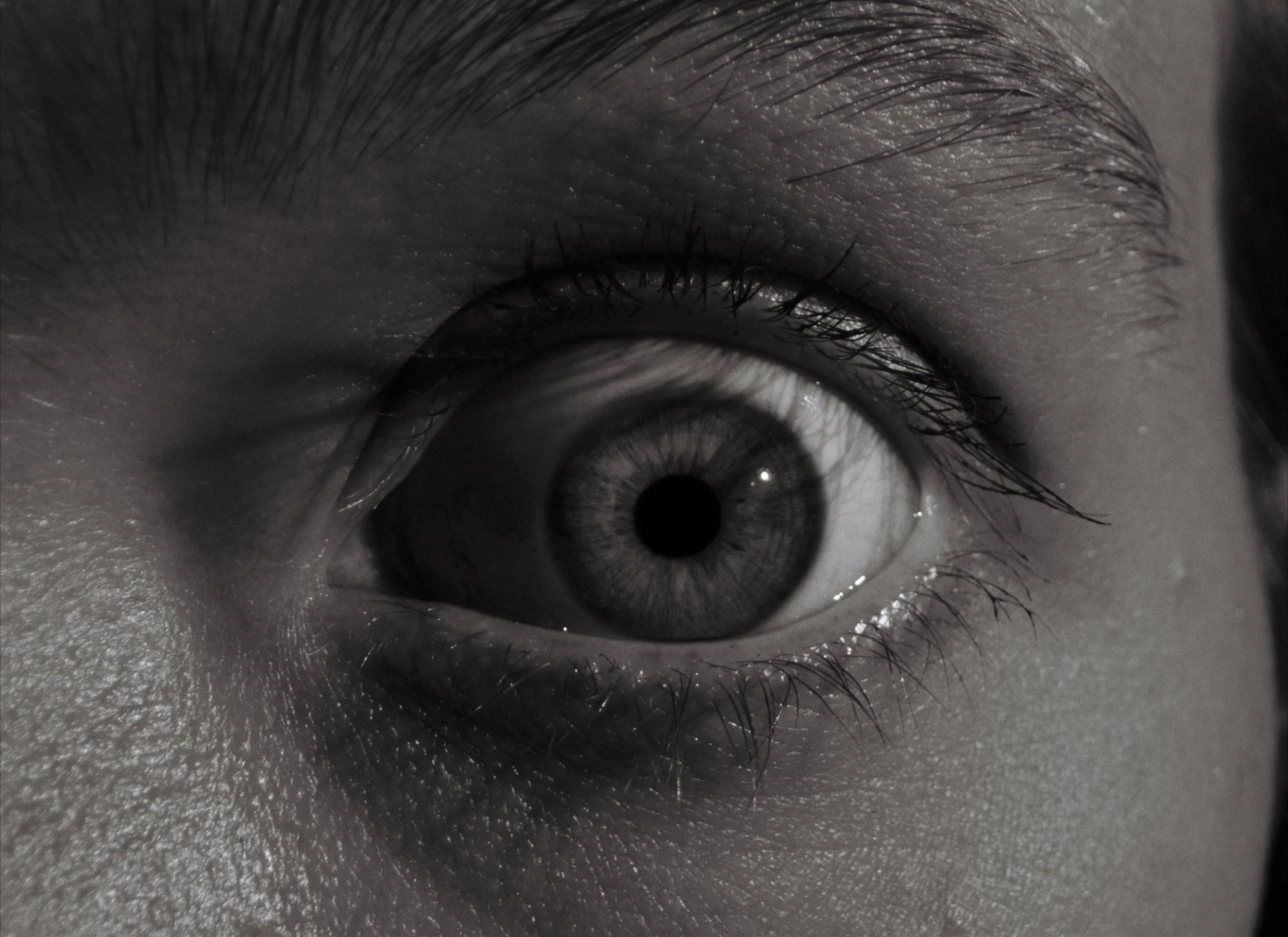 A close-up of an eye