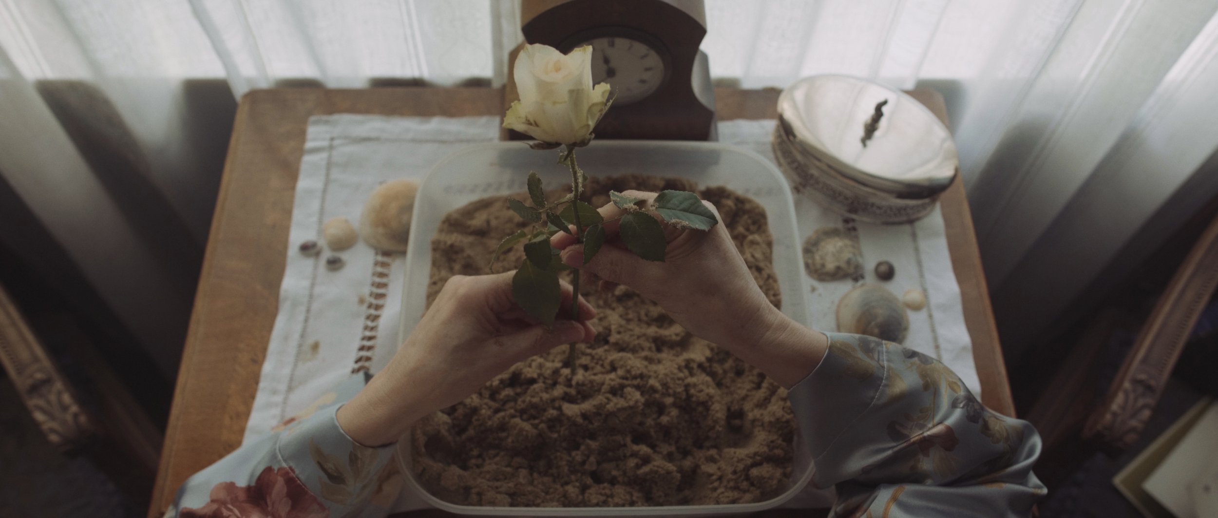 A woman picks up a flower from a box of sand