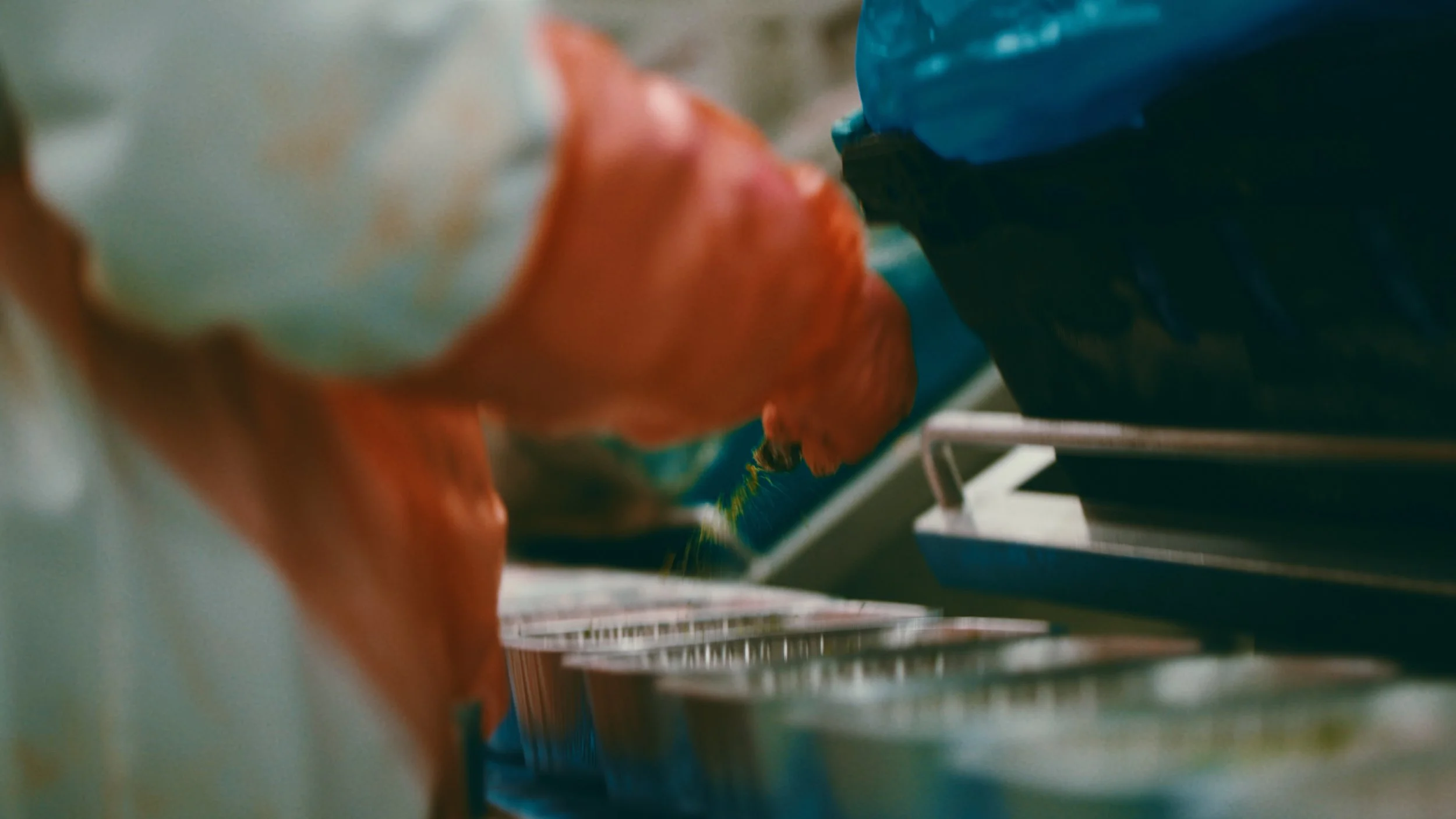 A Sainsburys worker checks food on the assembly line