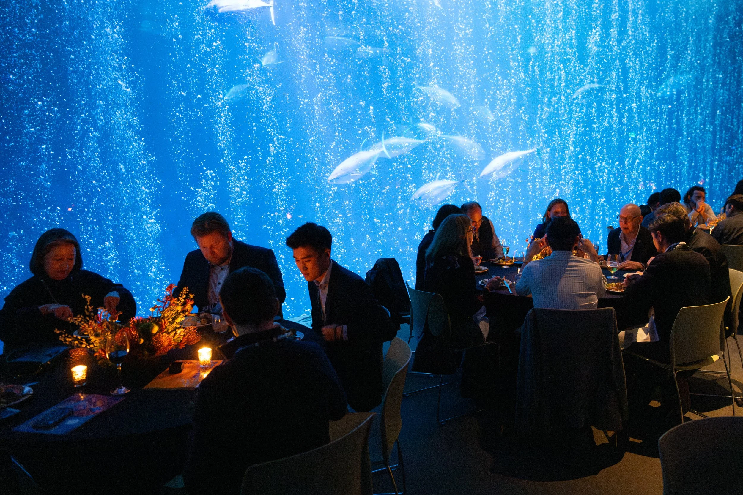 People dining at tables in front of an large aquarium with swimming fish and bubbles.