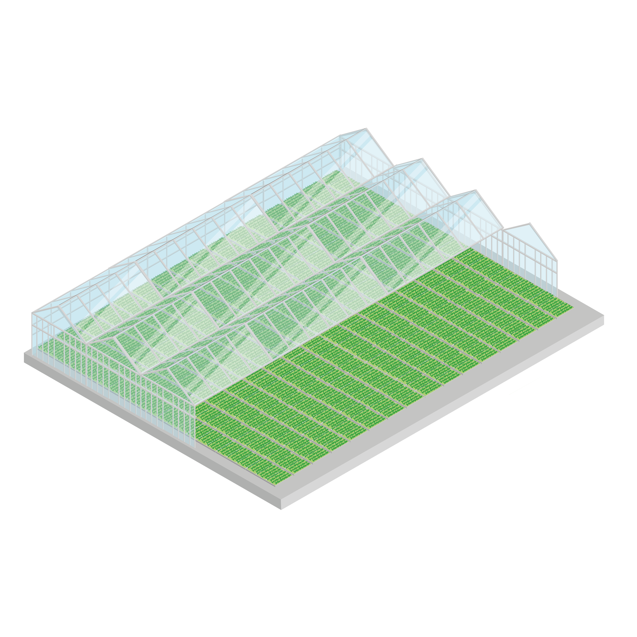 single layer greenhouse