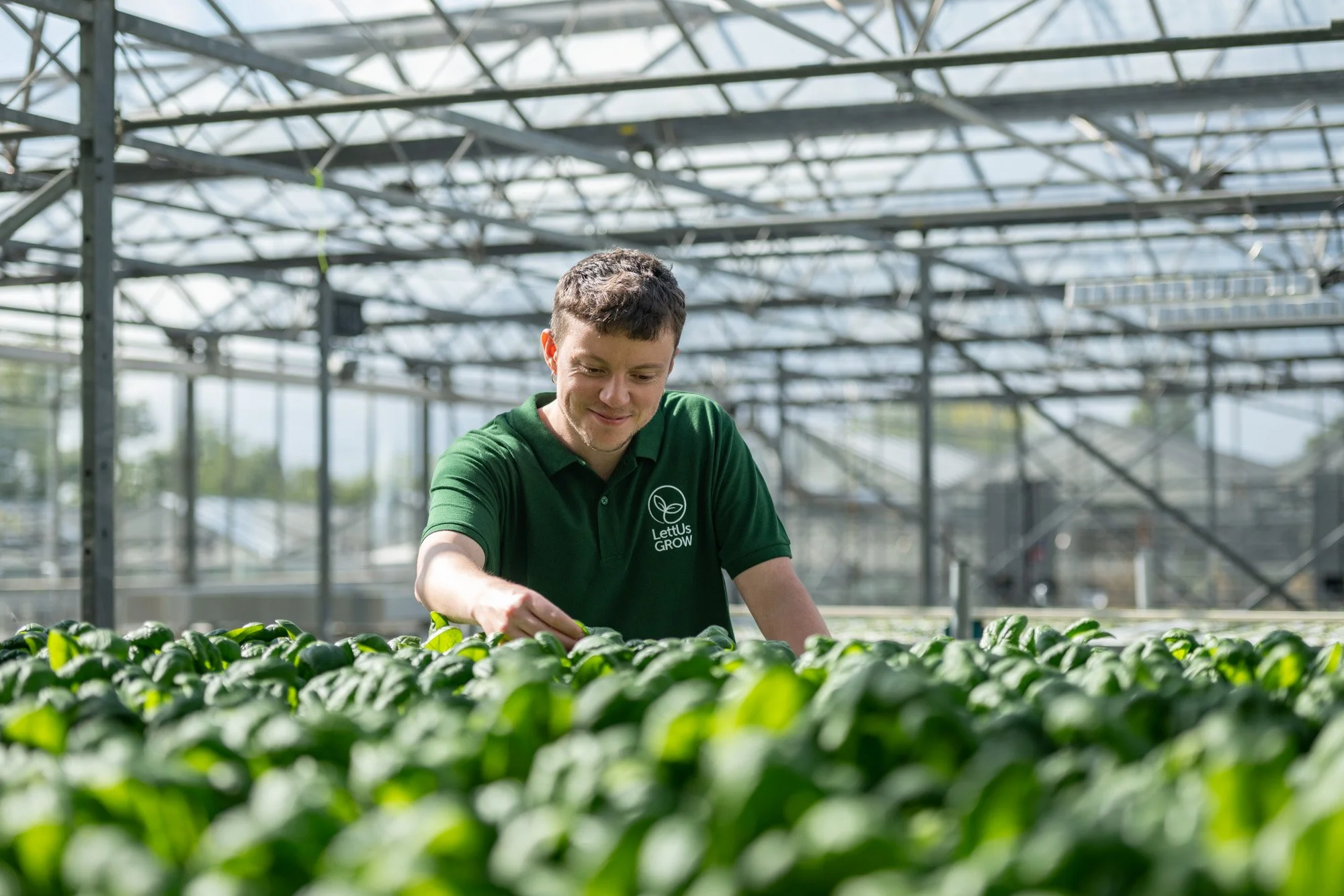 LettUs Grow team member tending crops