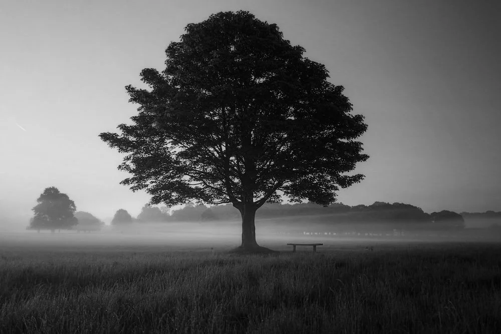 Clinic51 offers women personalised healthcare