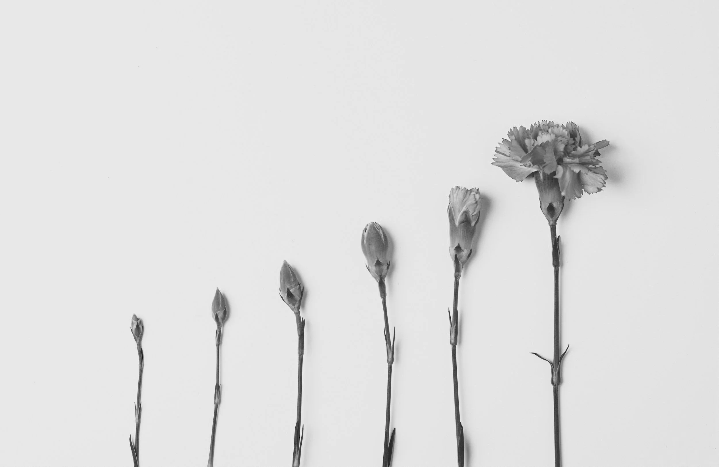 Clinic51 offers women evidence-based advice, guidance, and treatment