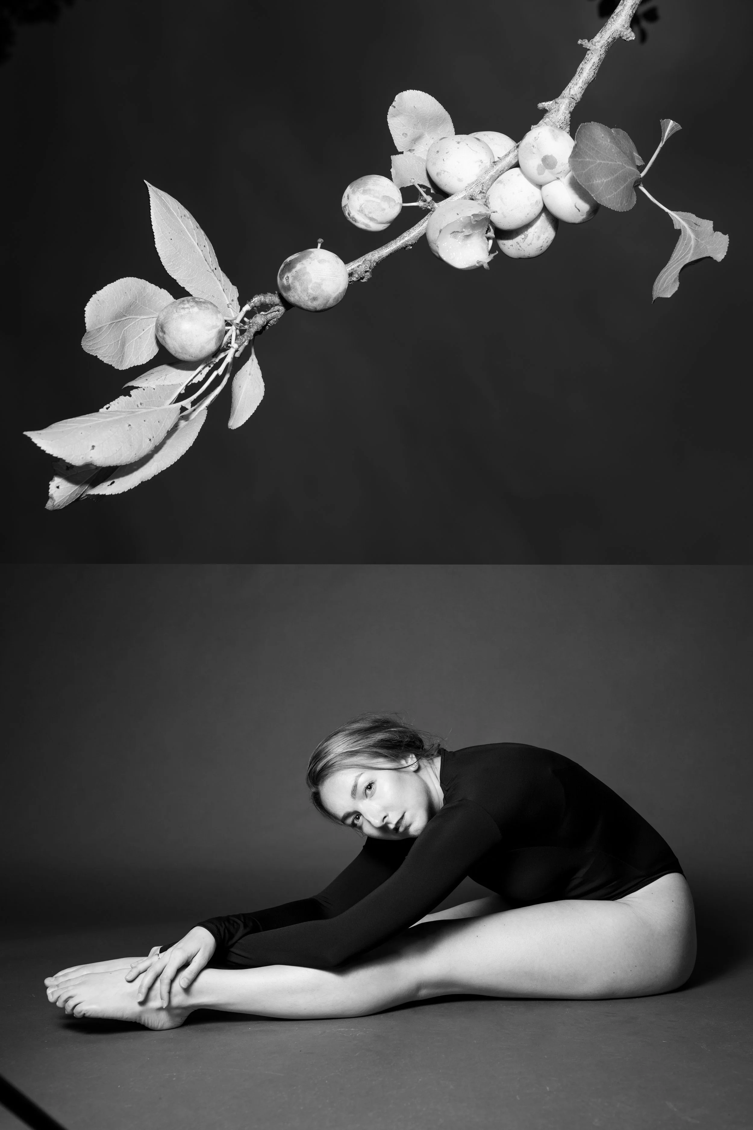 DSC_1201_1@1x_1.jpg