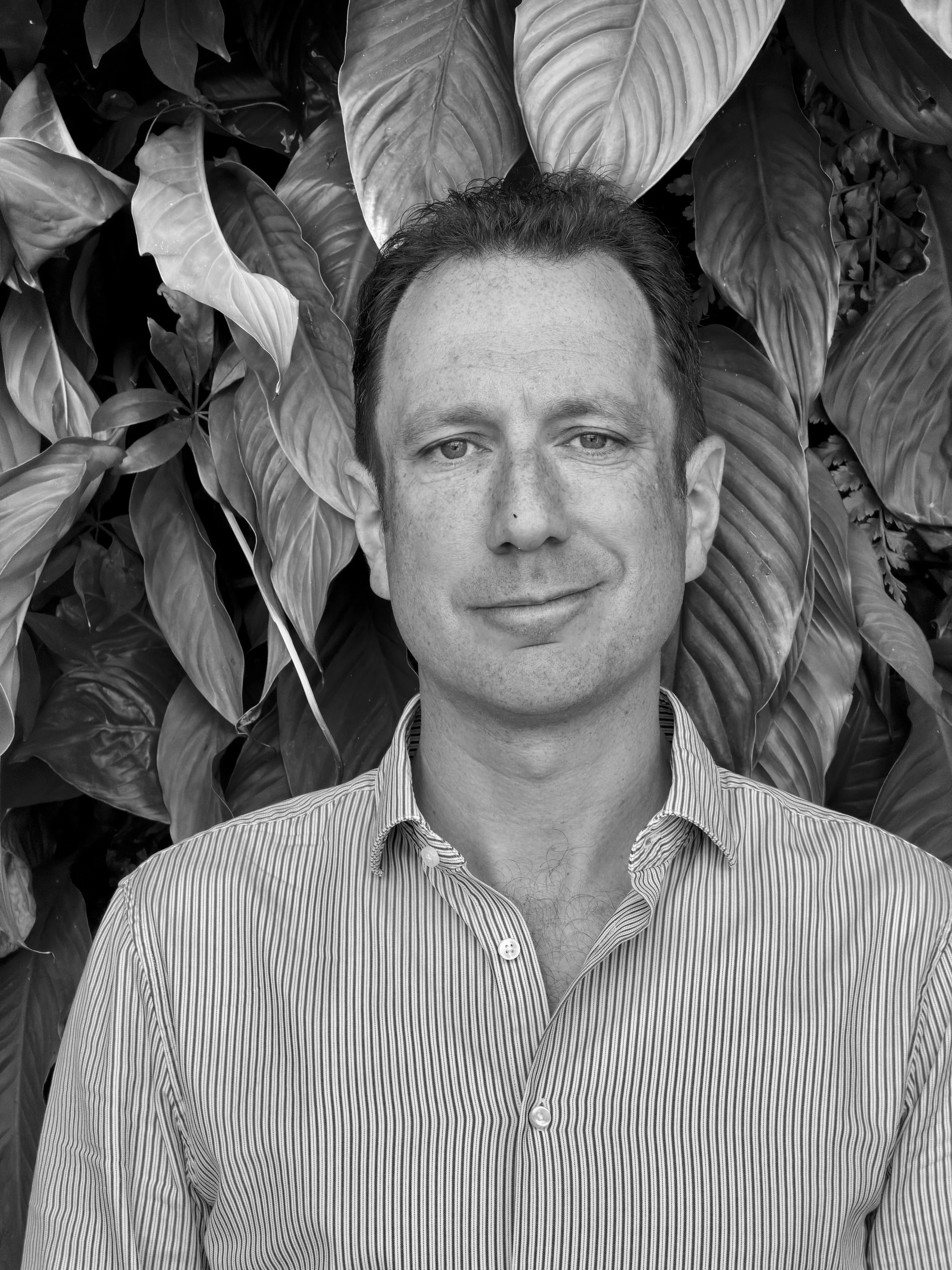 Appointment | Mike Shaw as CBO