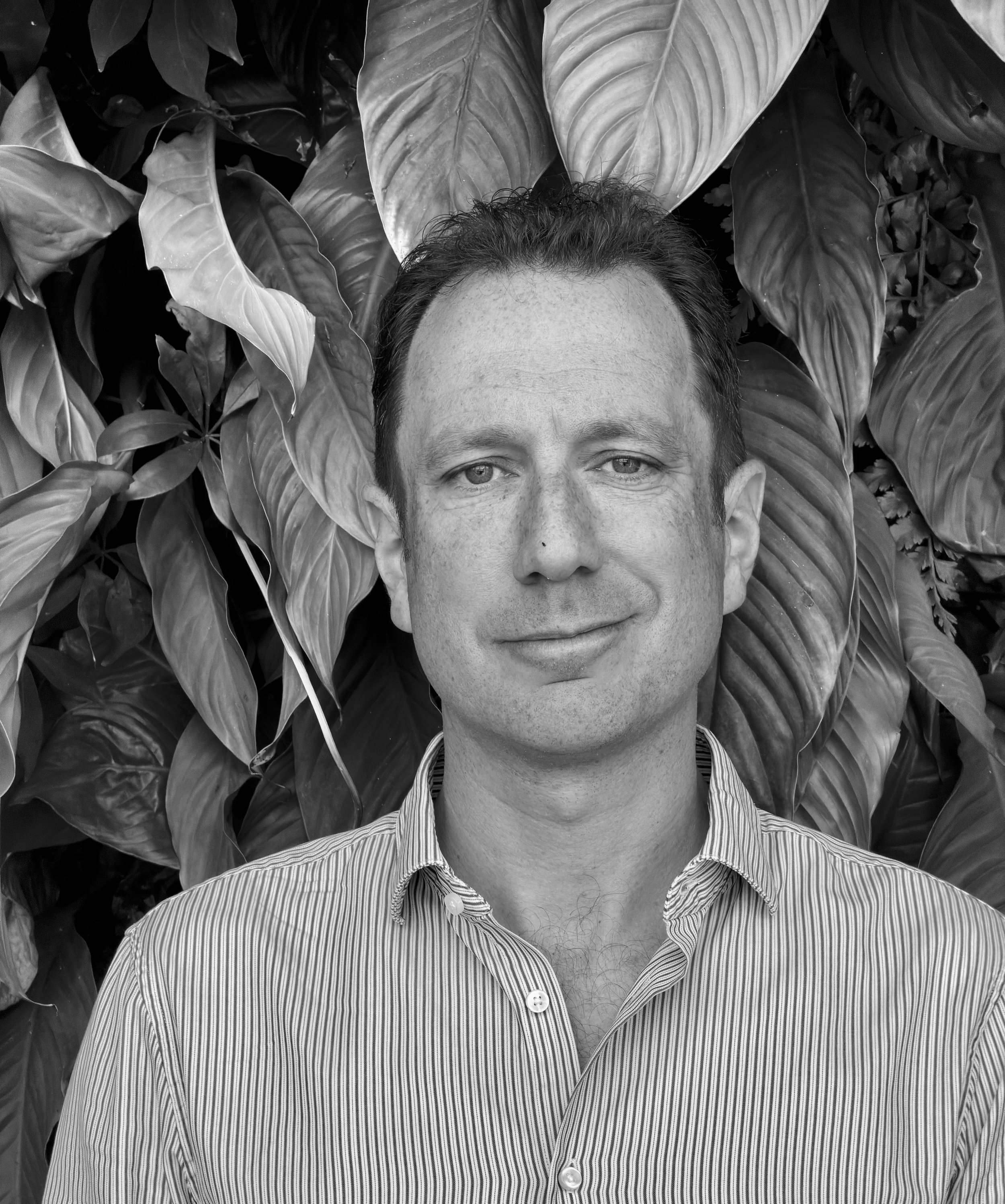 Mike Shaw