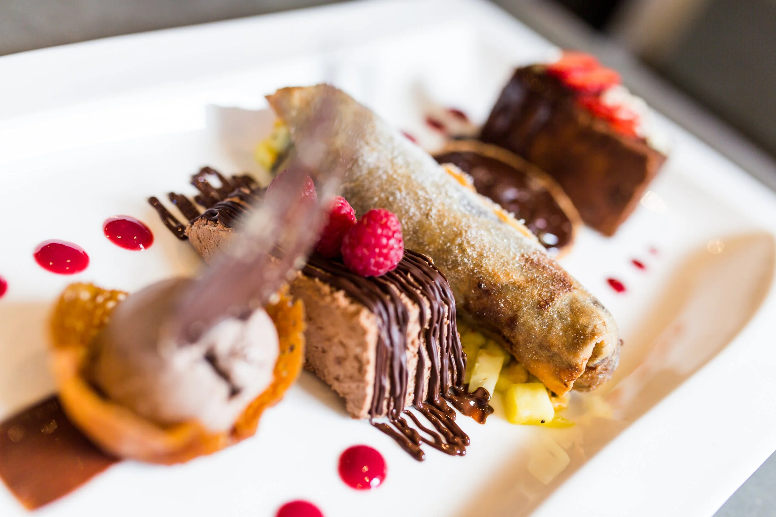 Assorted desserts on a white plate, including a cannoli with powdered sugar, chocolate mousse topped with raspberries, and various other chocolate and fruit treats, garnished with raspberry sauce.