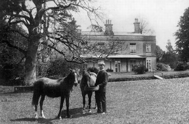 A man standing outside a large house with two horses in a grassy yard, under a large tree.