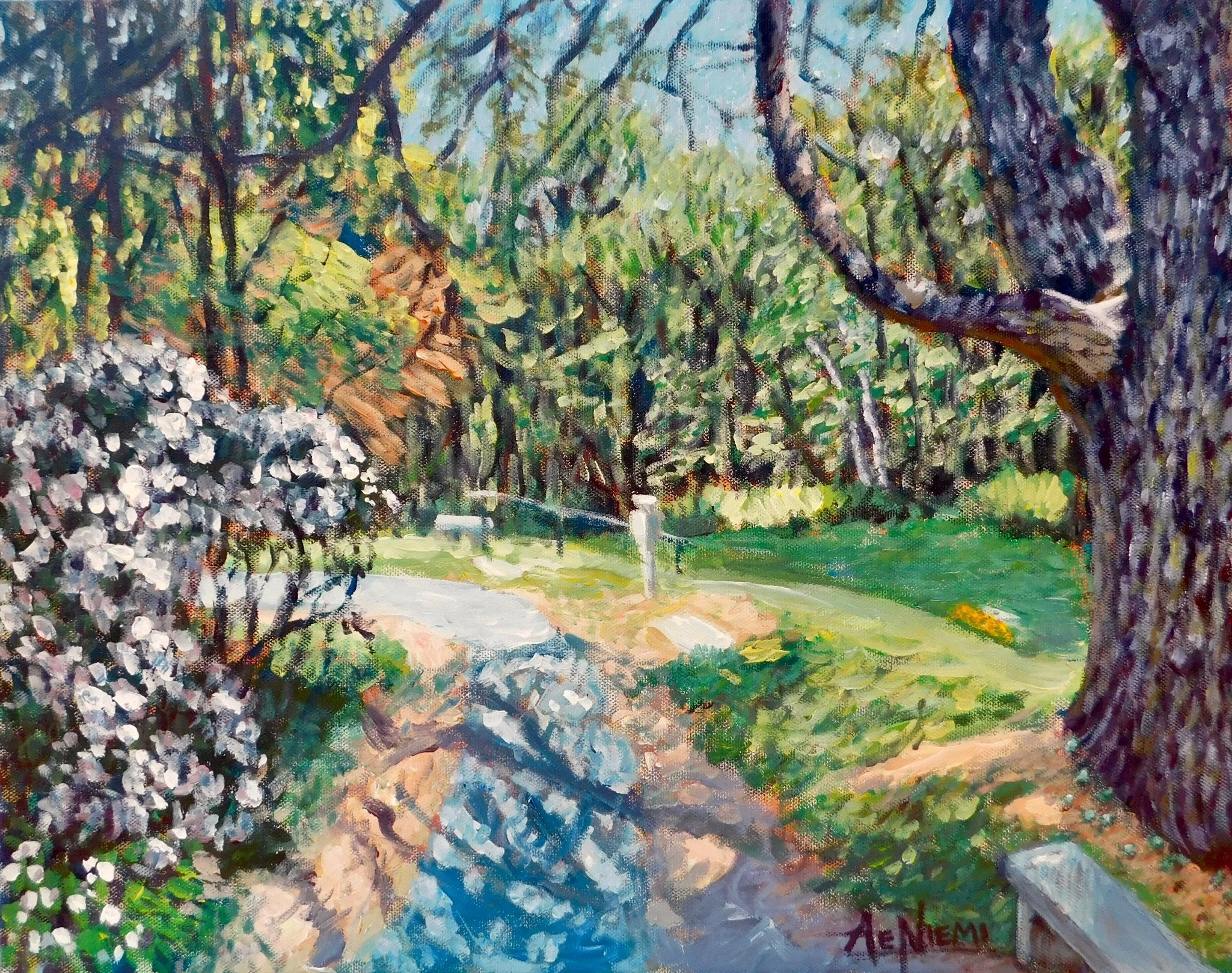 On the Path, Cathedral of the Pines