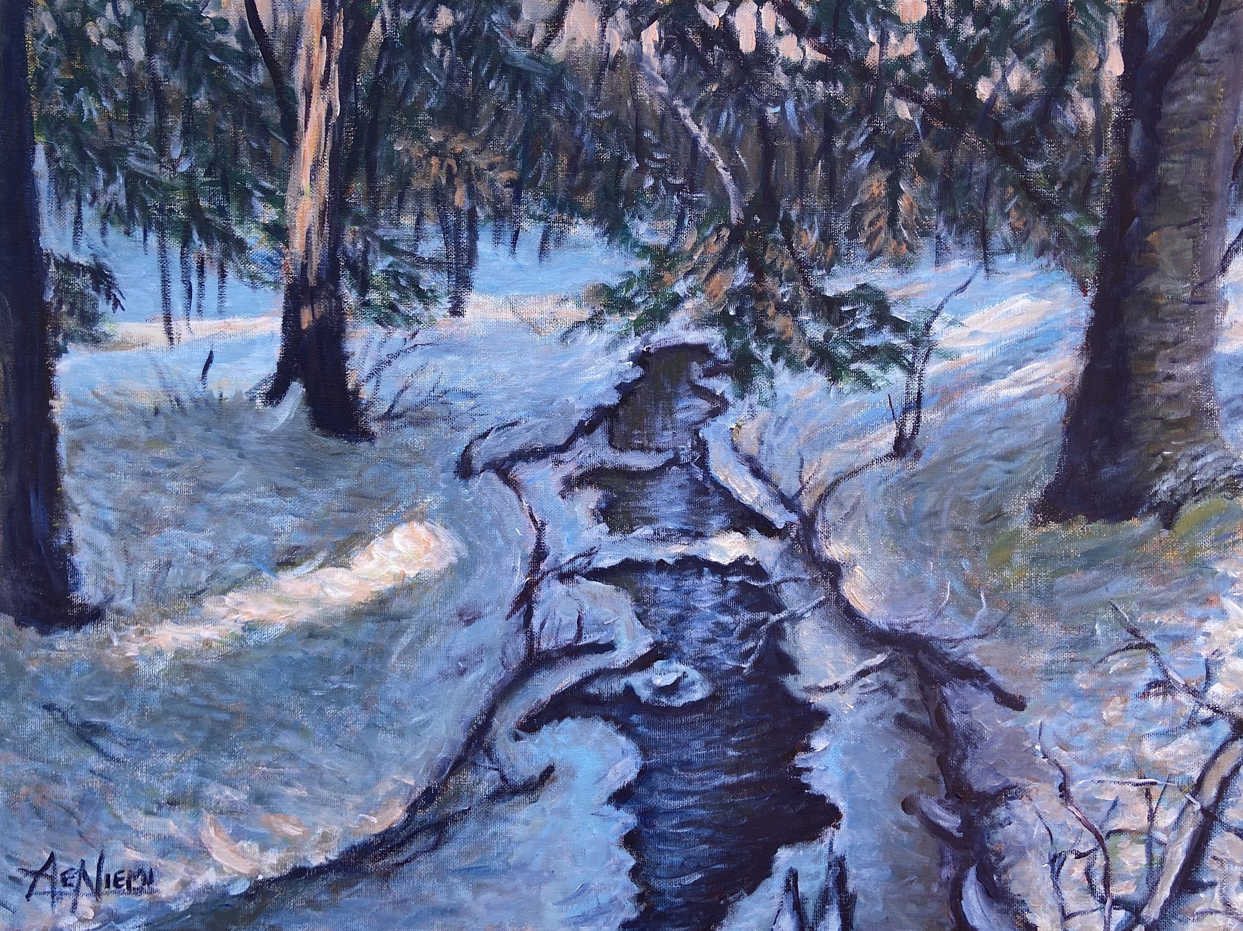 Winter Stream