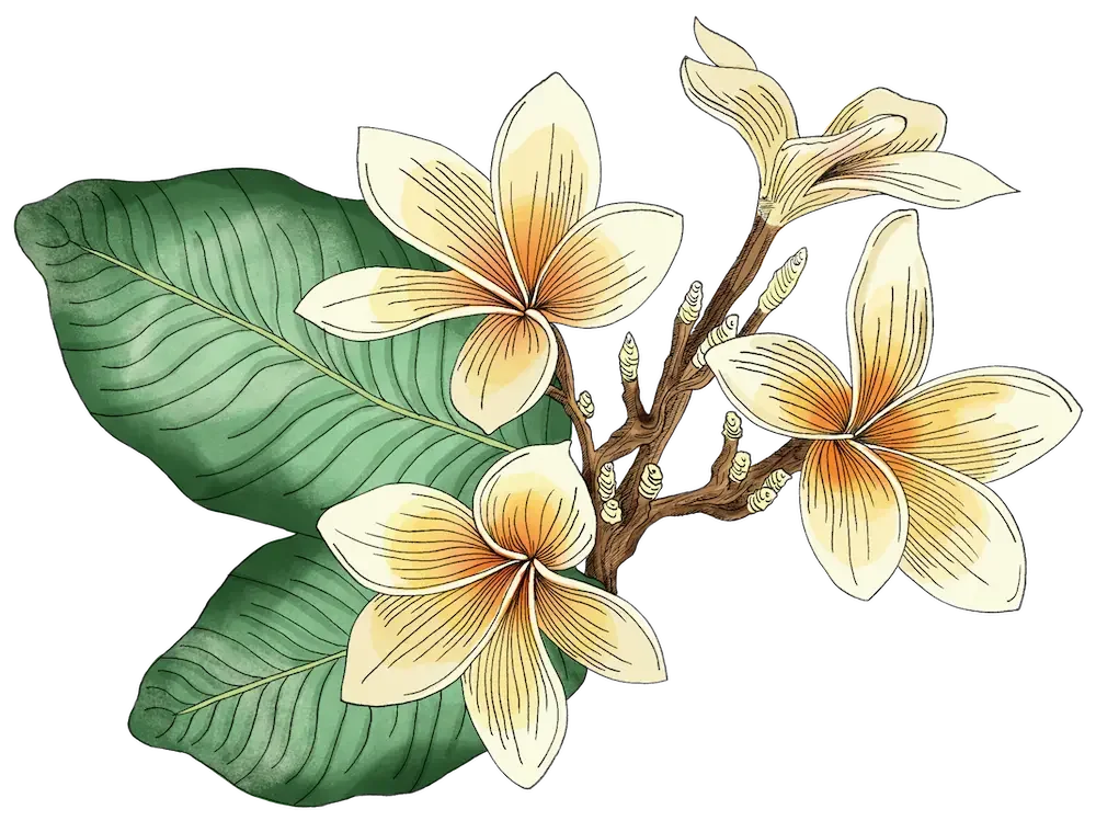 Tropische Illustration