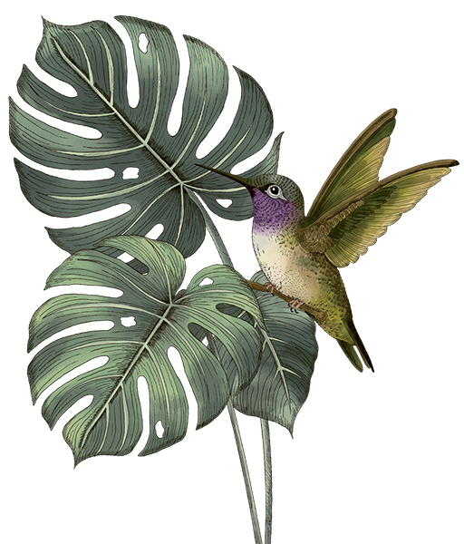 Tropische Illustration