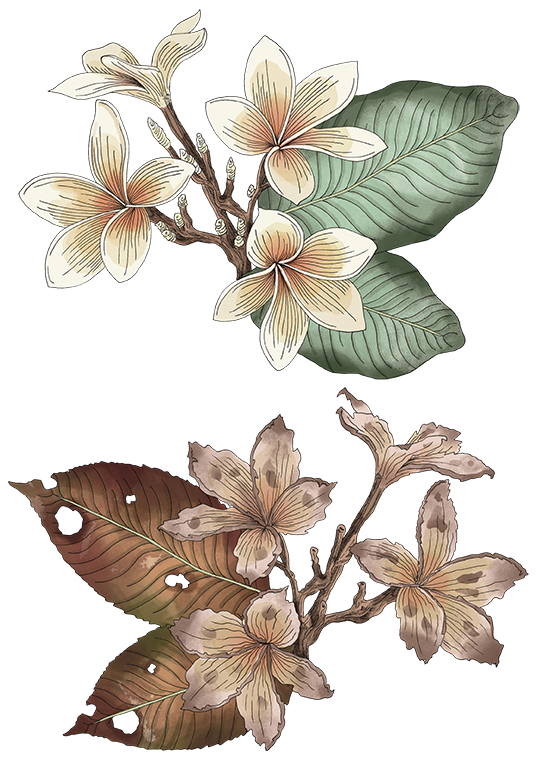 Tropische Illustration