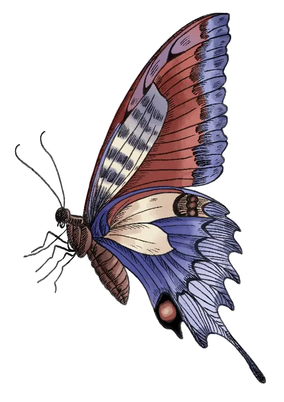 Tropische Illustration