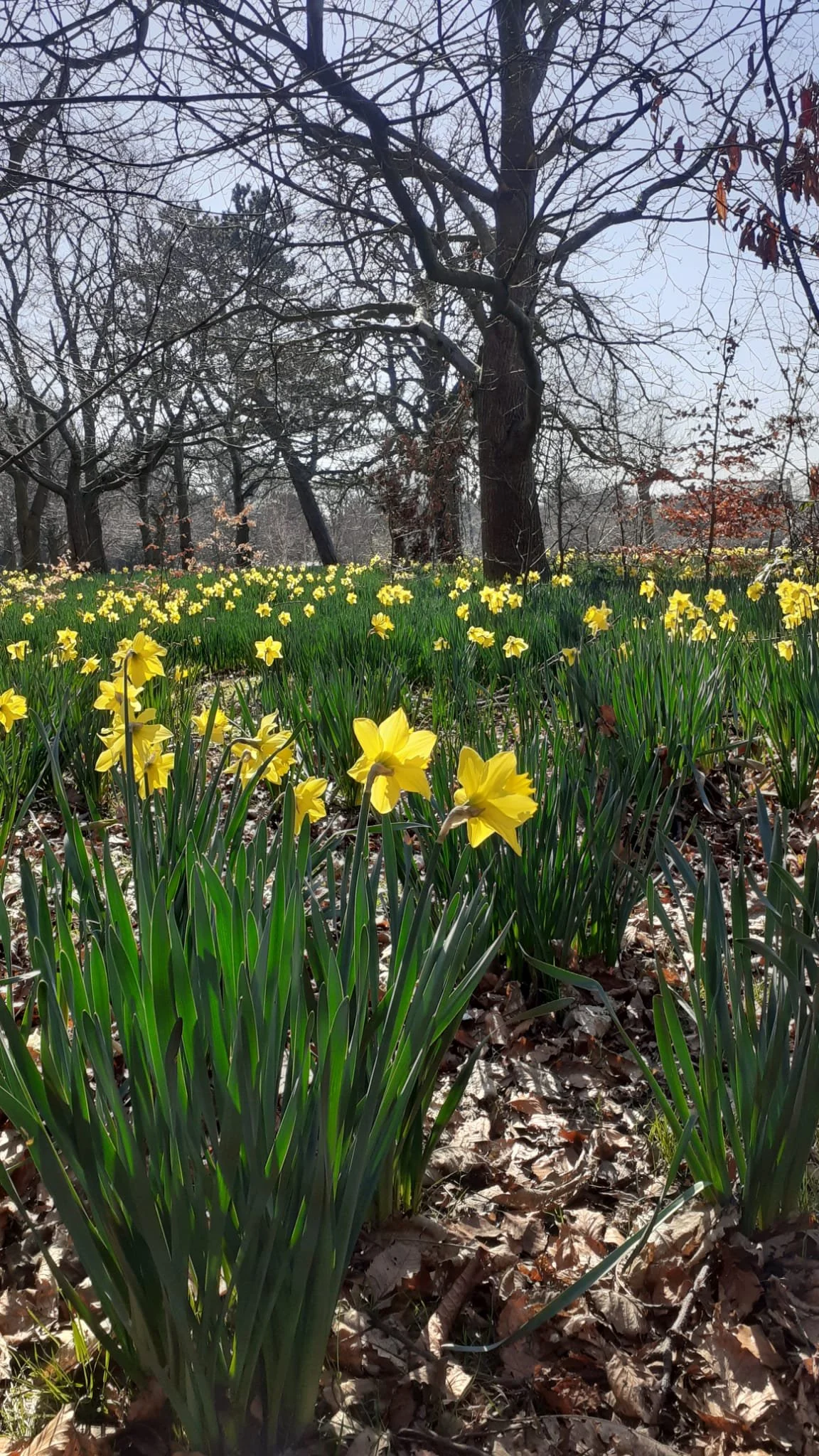 New beginnings don’t have to be dramatic …